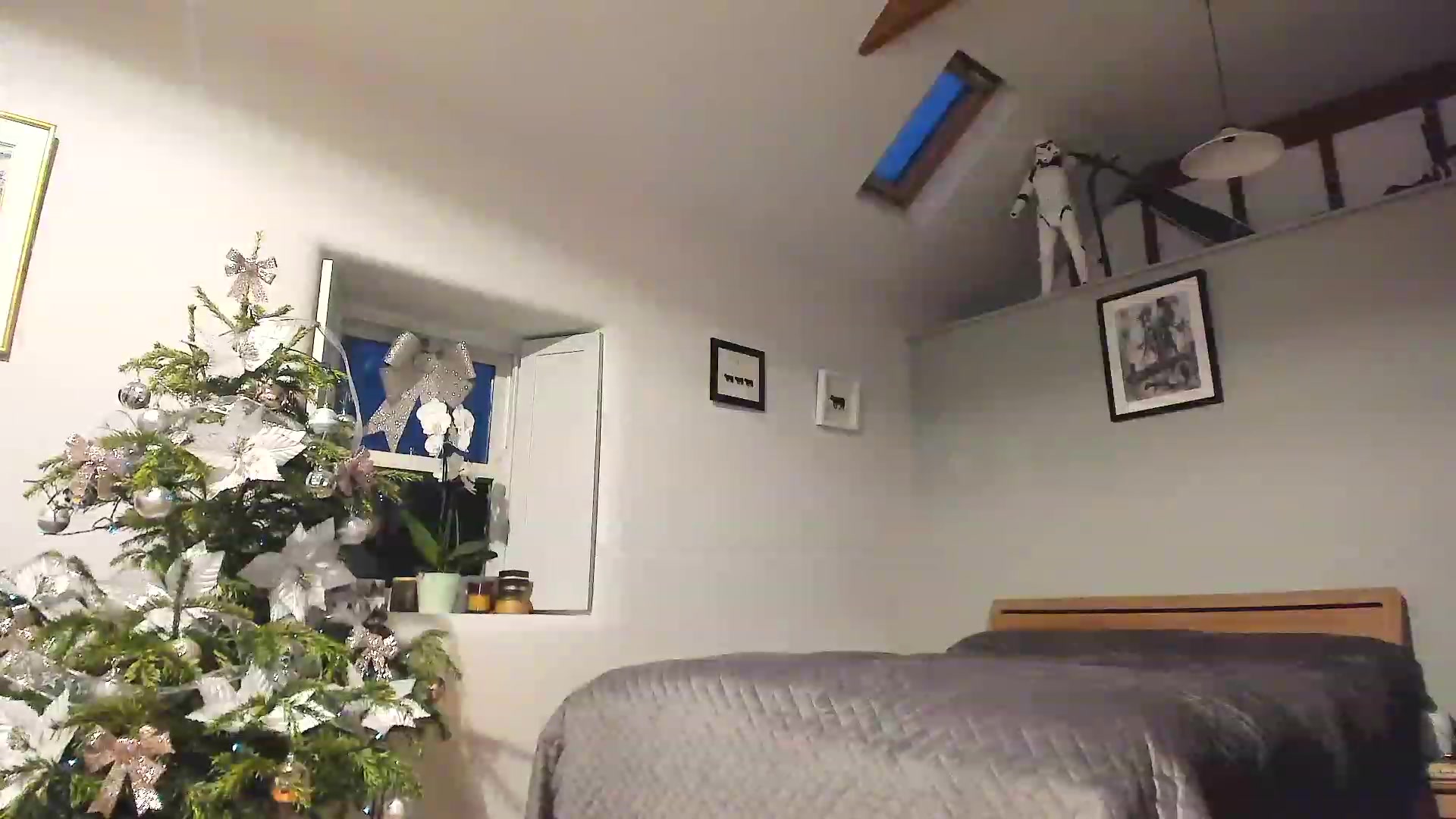 Gallery image thumbnail from Amber_Fry's myfreecams stream on, 01/03/2023, 17:25 image 10 of 20