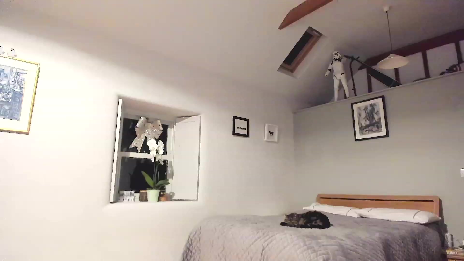 Gallery image thumbnail from Amber_Fry's myfreecams stream on, 01/16/2023, 21:38 image 20 of 20