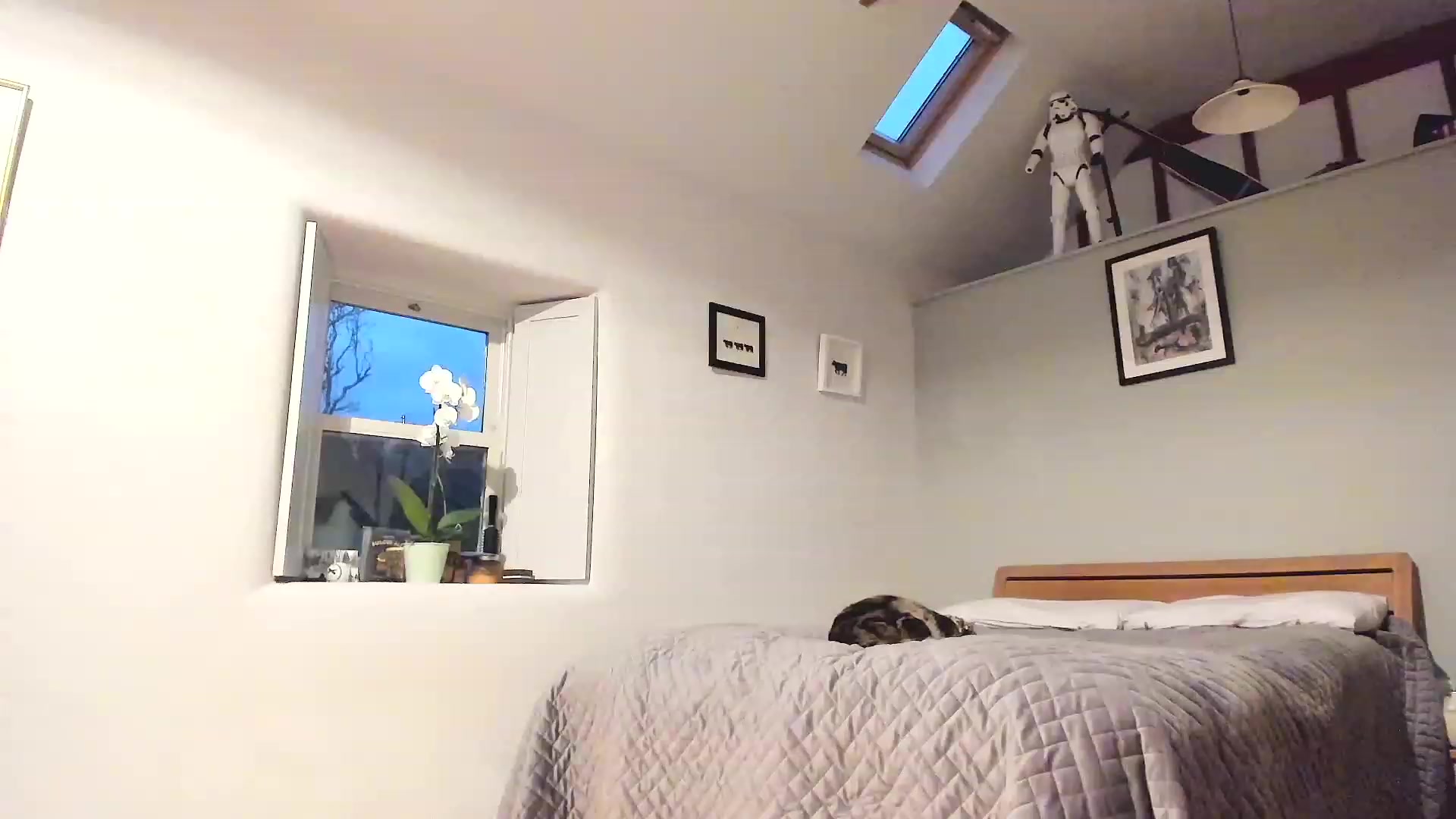 Gallery image thumbnail from Amber_Fry's myfreecams stream on, 02/11/2023, 18:08 image 18 of 20