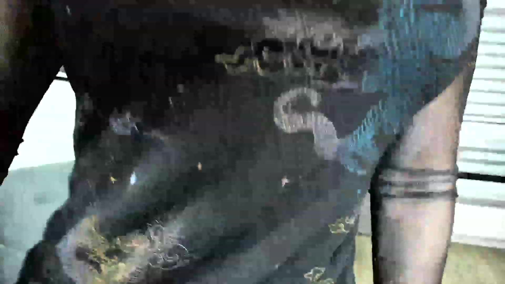 Gallery image thumbnail from Amber_Fry's myfreecams stream on, 02/19/2024, 17:40 image 14 of 20