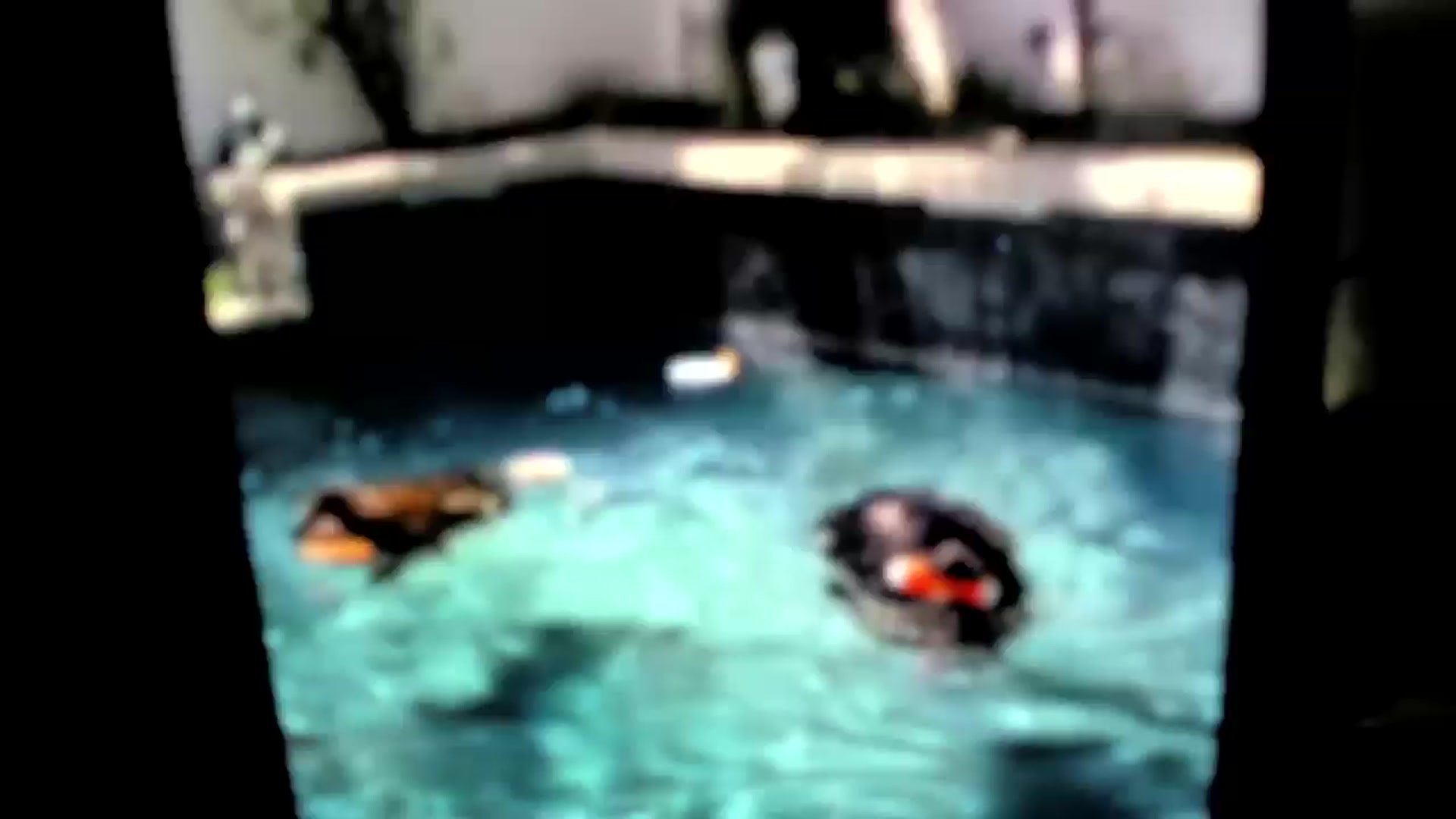 Gallery image thumbnail from Amber_Fry's myfreecams stream on, 06/30/2024, 19:35 image 15 of 20