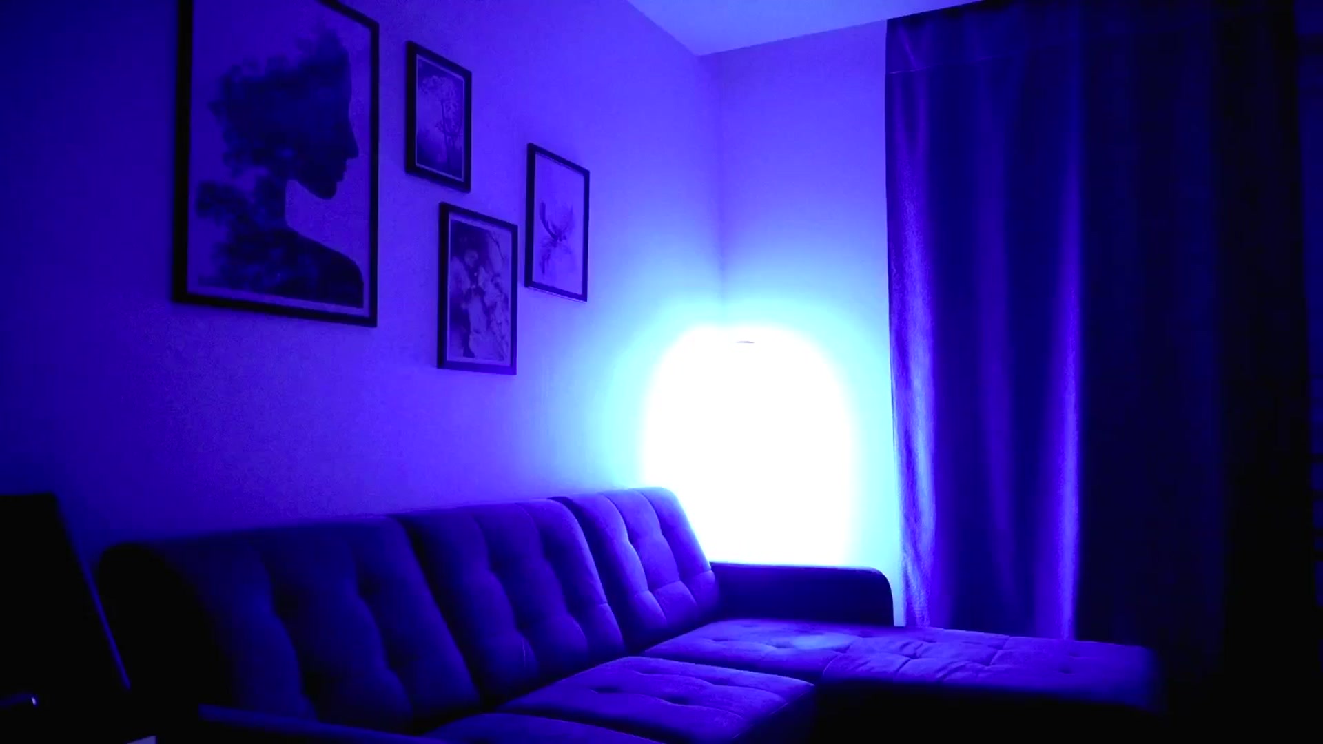 Gallery image thumbnail from Amber_Fry's myfreecams stream on, 07/30/2025, 21:33 image 2 of 20