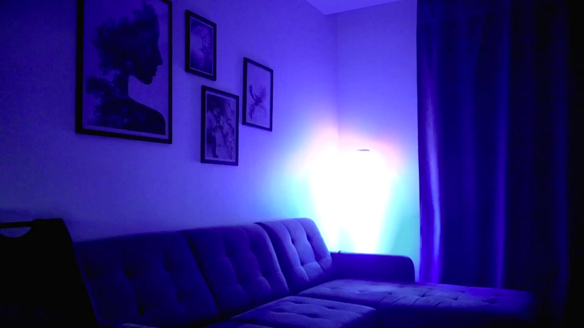 Gallery image thumbnail from Amber_Fry's myfreecams stream on, 09/07/2025, 21:10 image 16 of 20