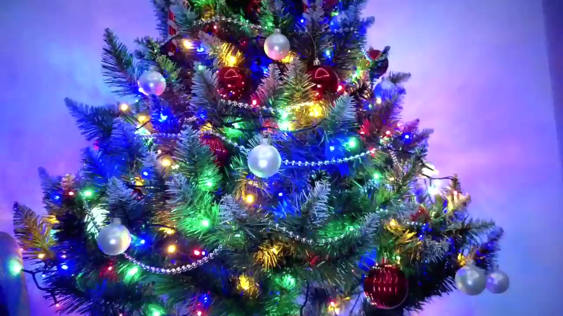Gallery image thumbnail from Amber_Fry's myfreecams stream on, 12/27/2025, 19:29 image 15 of 20