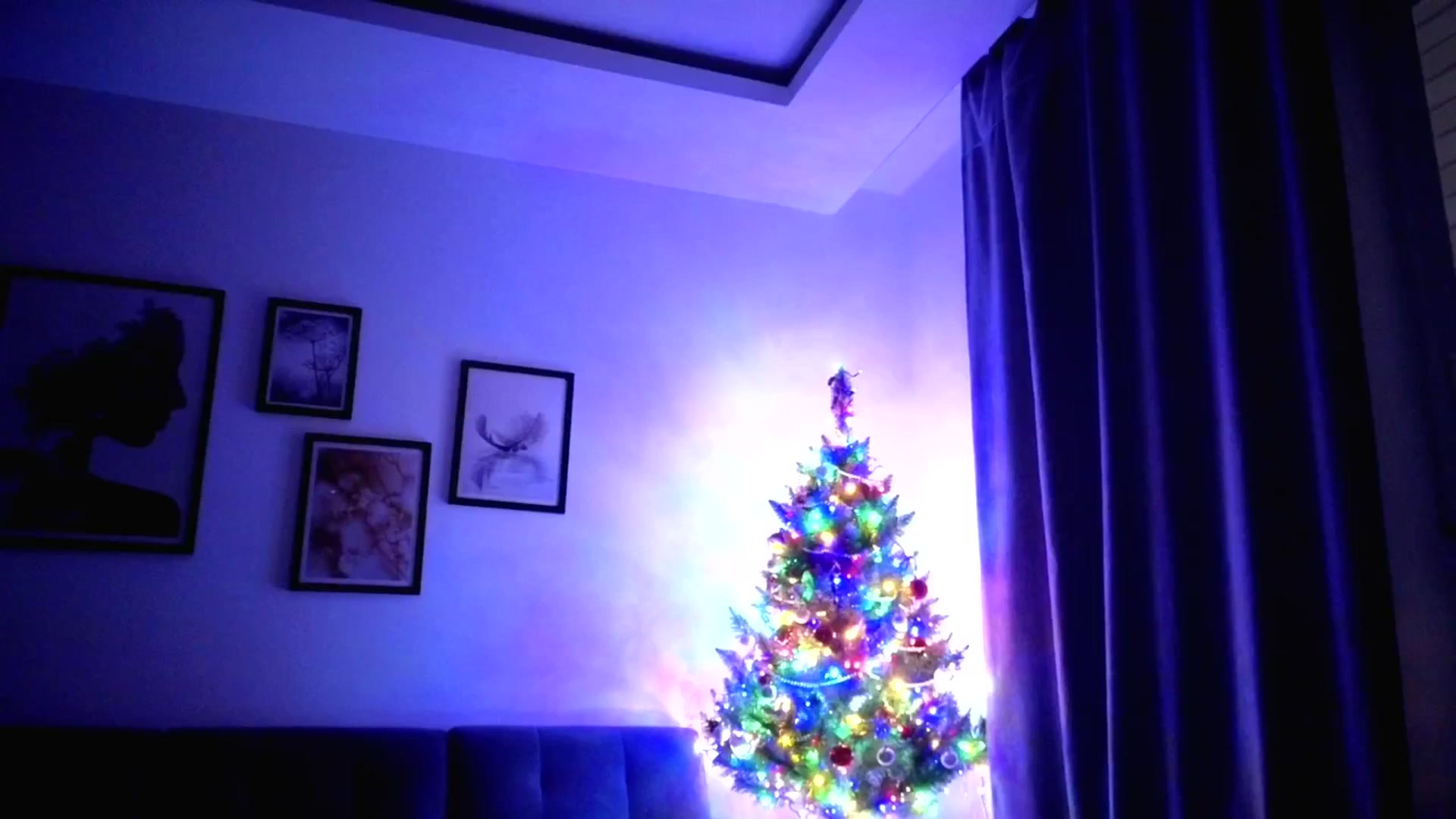 Gallery image thumbnail from Amber_Fry's myfreecams stream on, 01/11/2026, 24:45 image 12 of 20