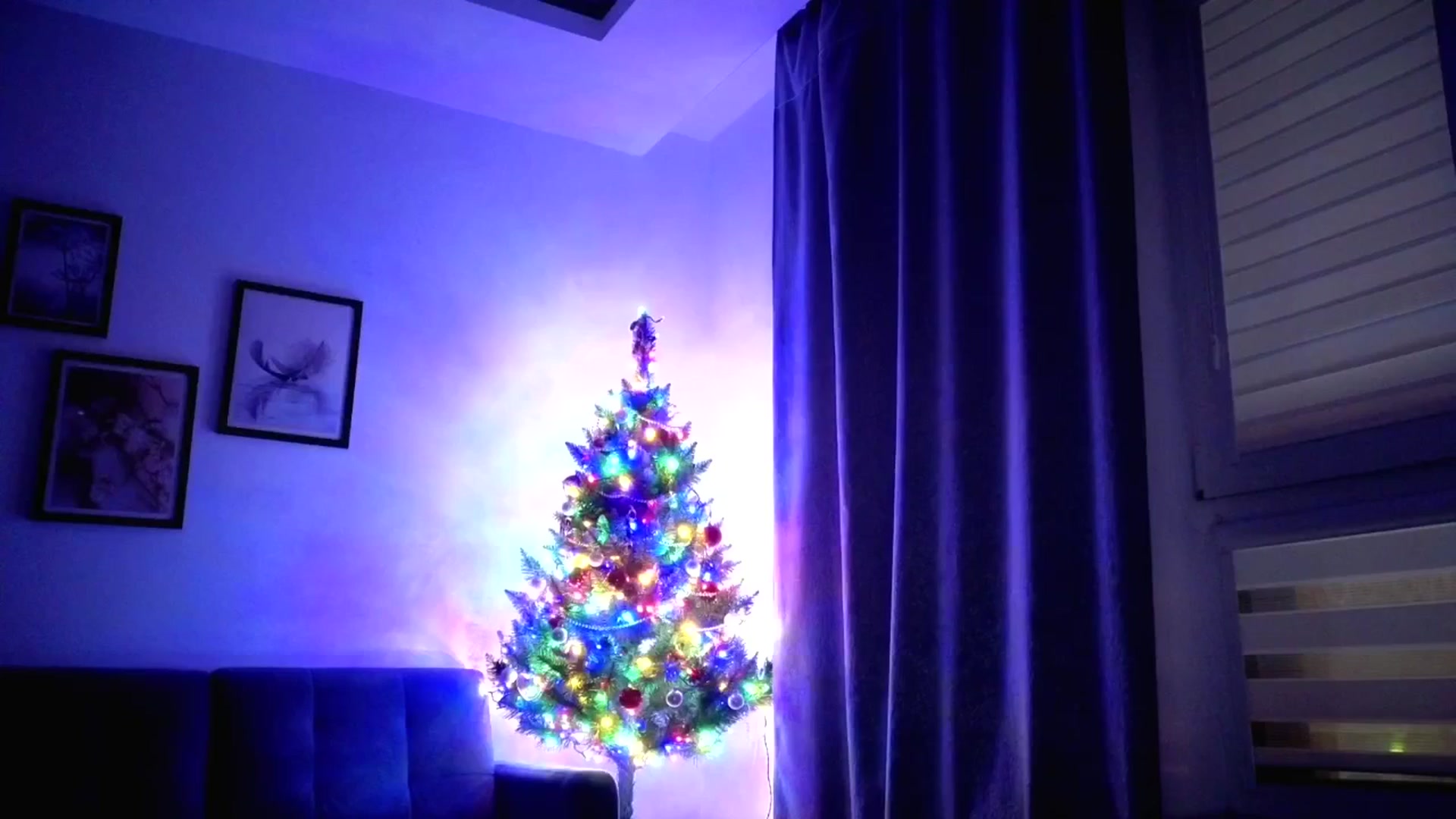 Gallery image thumbnail from Amber_Fry's myfreecams stream on, 01/11/2026, 24:45 image 1 of 20