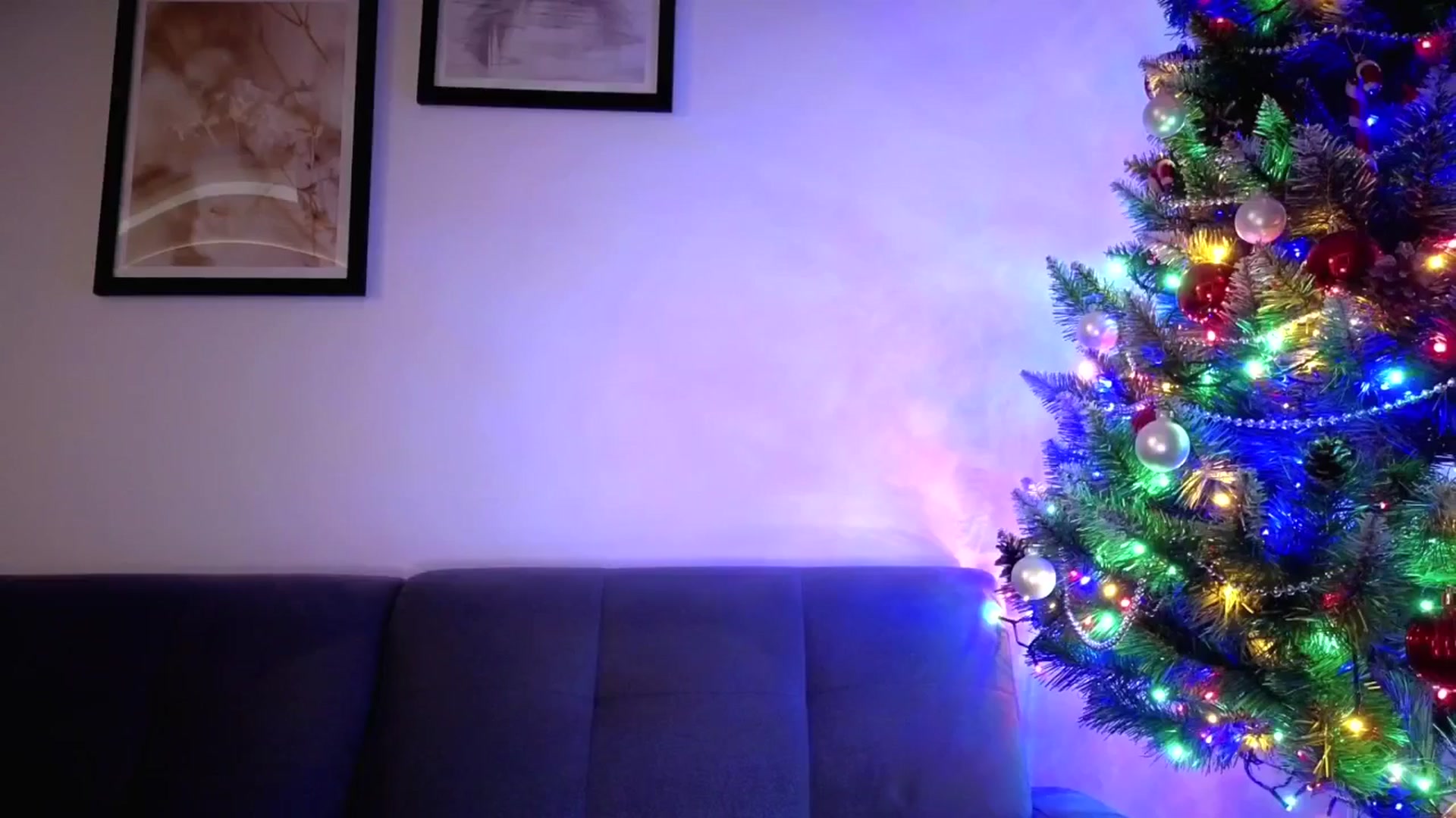 Gallery image thumbnail from Amber_Fry's myfreecams stream on, 01/11/2026, 16:44 image 12 of 20
