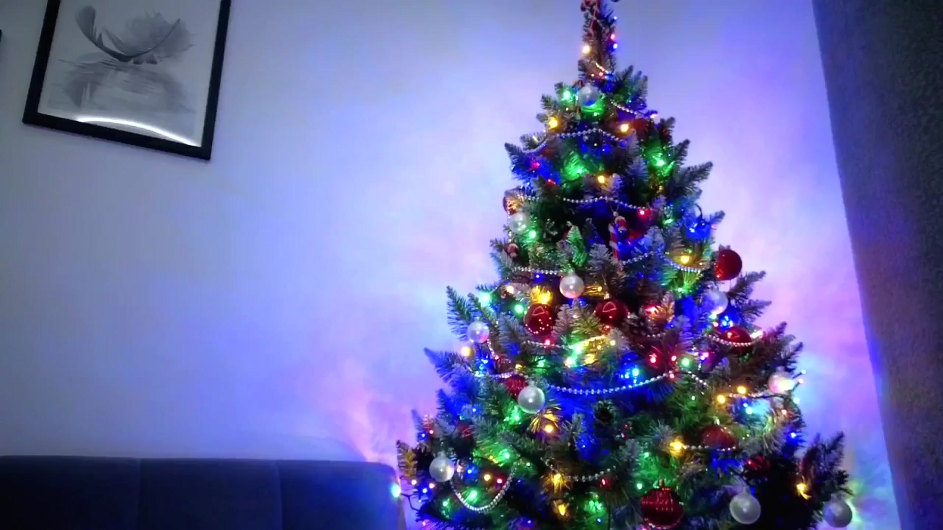 Gallery image thumbnail from Amber_Fry's myfreecams stream on, 01/12/2026, 20:23 image 10 of 20