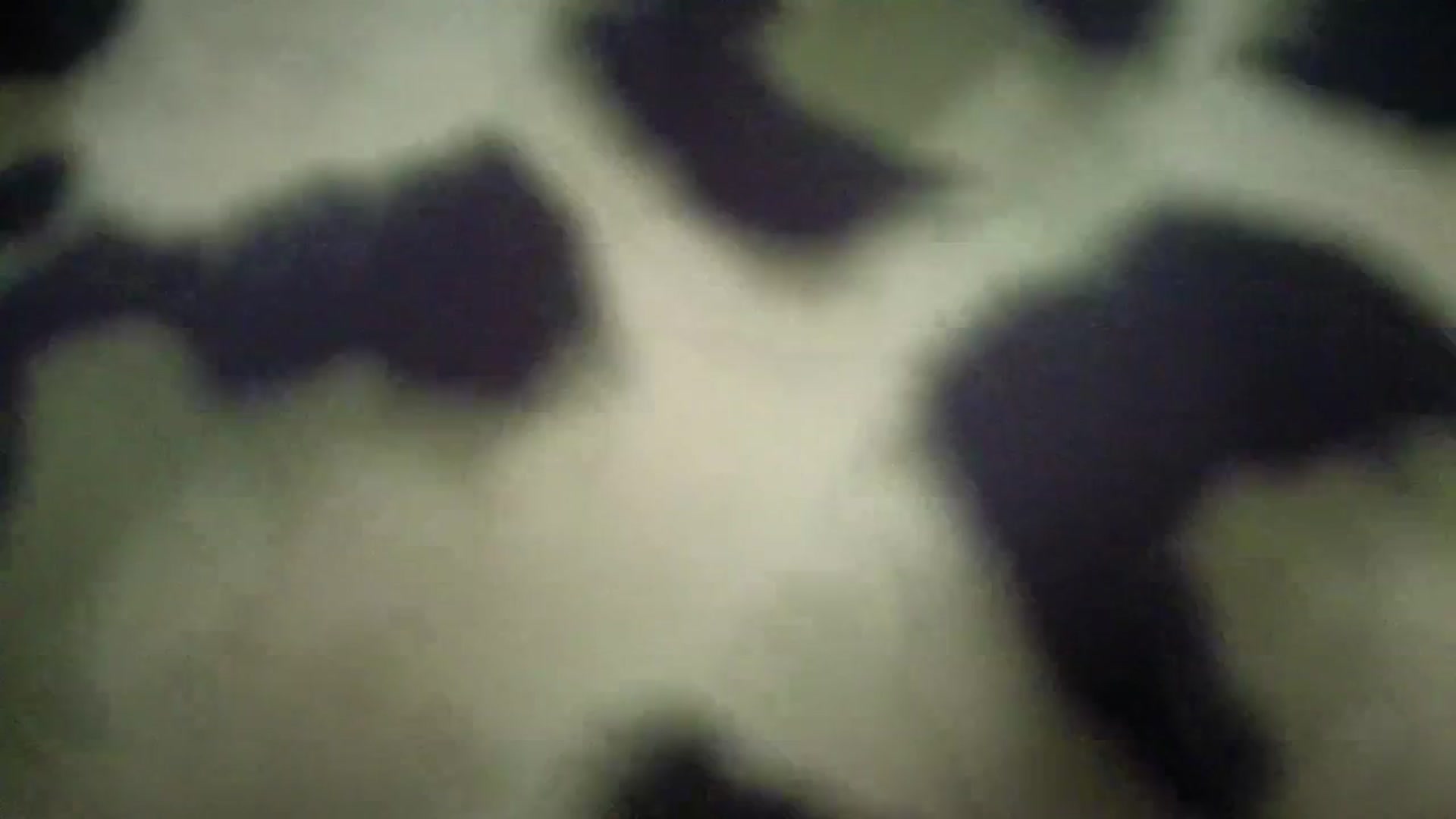 Gallery image thumbnail from Amber_Fry's myfreecams stream on, 03/17/2026, 16:32 image 18 of 20