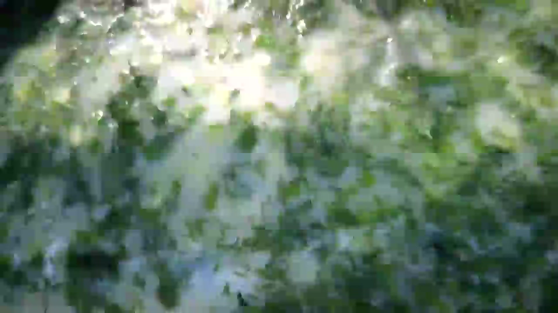 Gallery image thumbnail from Amber_Fry's myfreecams stream on, 05/16/2026, 16:57 image 19 of 20