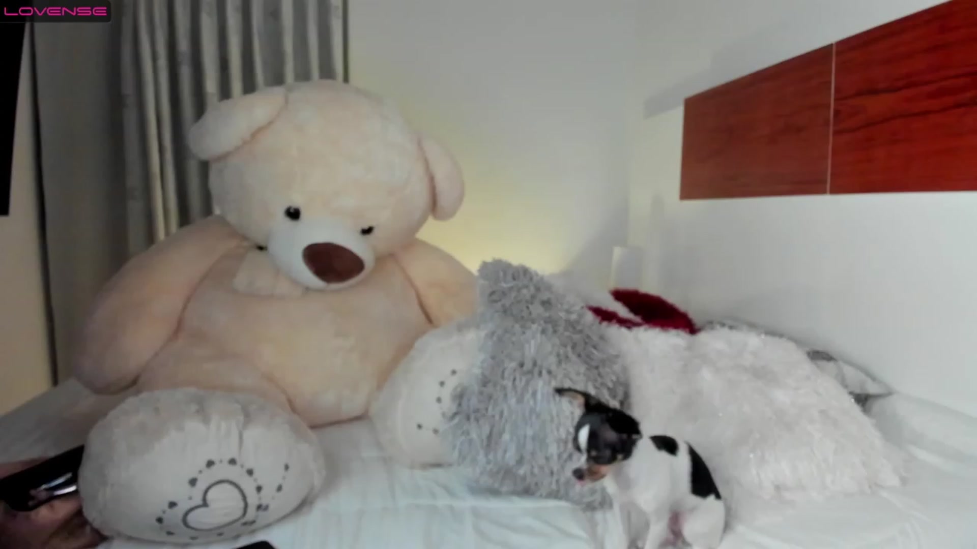 Gallery image thumbnail from Amber_walker's myfreecams stream on, 11/29/2022, 04:05 image 18 of 20