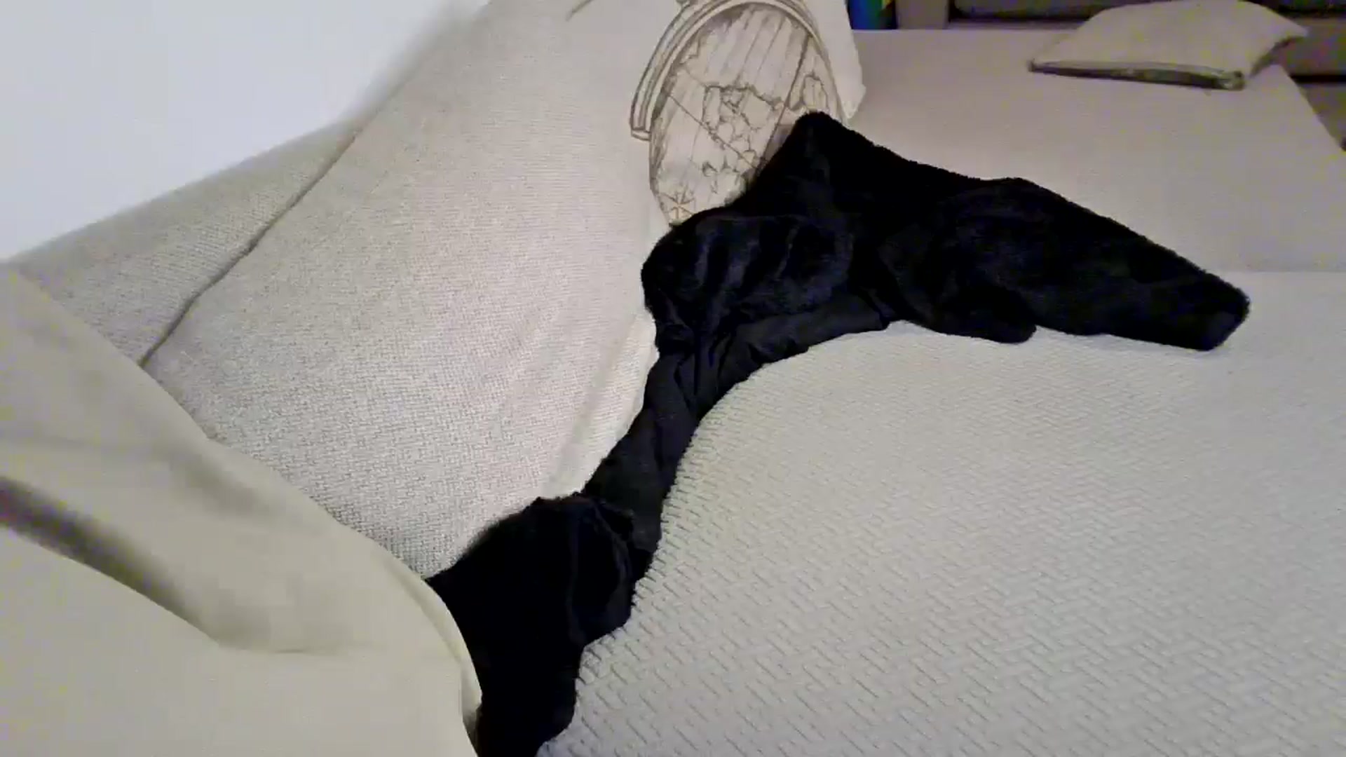 Gallery image thumbnail from Ameeraxo's myfreecams stream on, 08/13/2025, 22:51 image 15 of 20