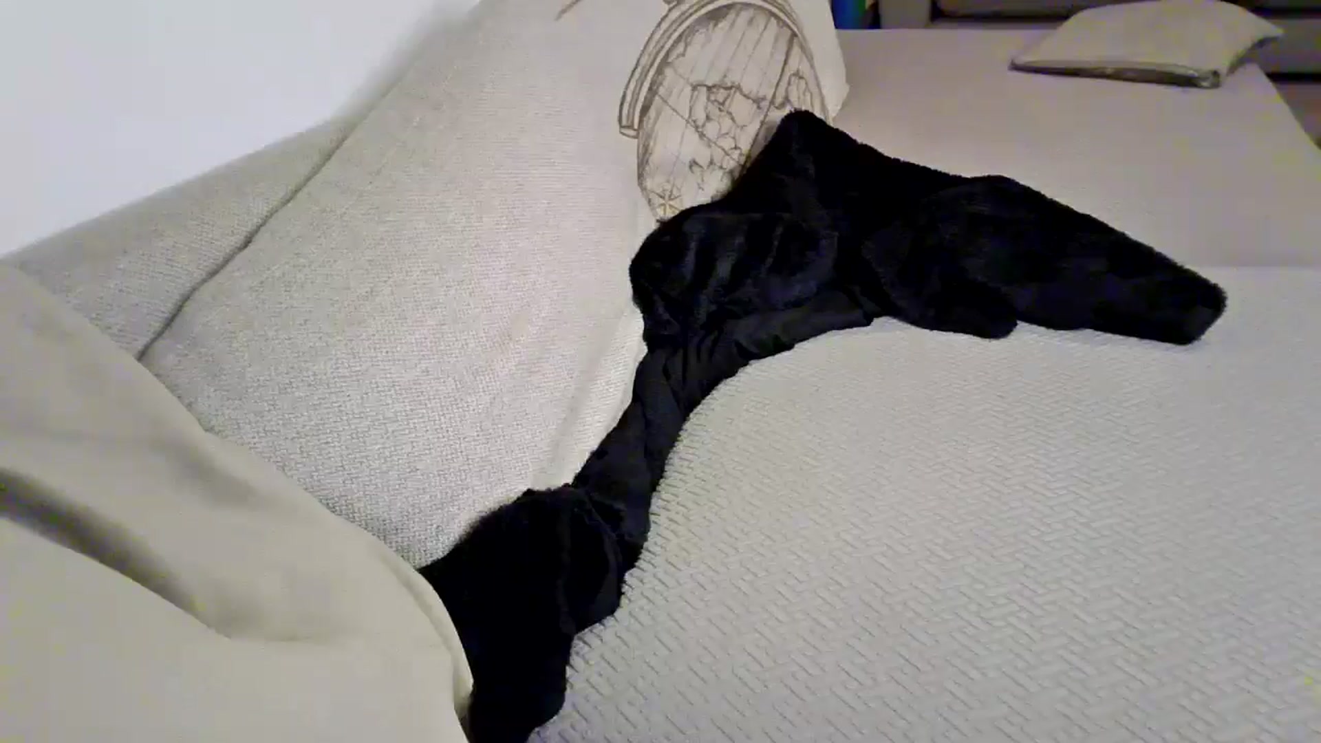 Gallery image thumbnail from Ameeraxo's myfreecams stream on, 08/13/2025, 22:51 image 13 of 20