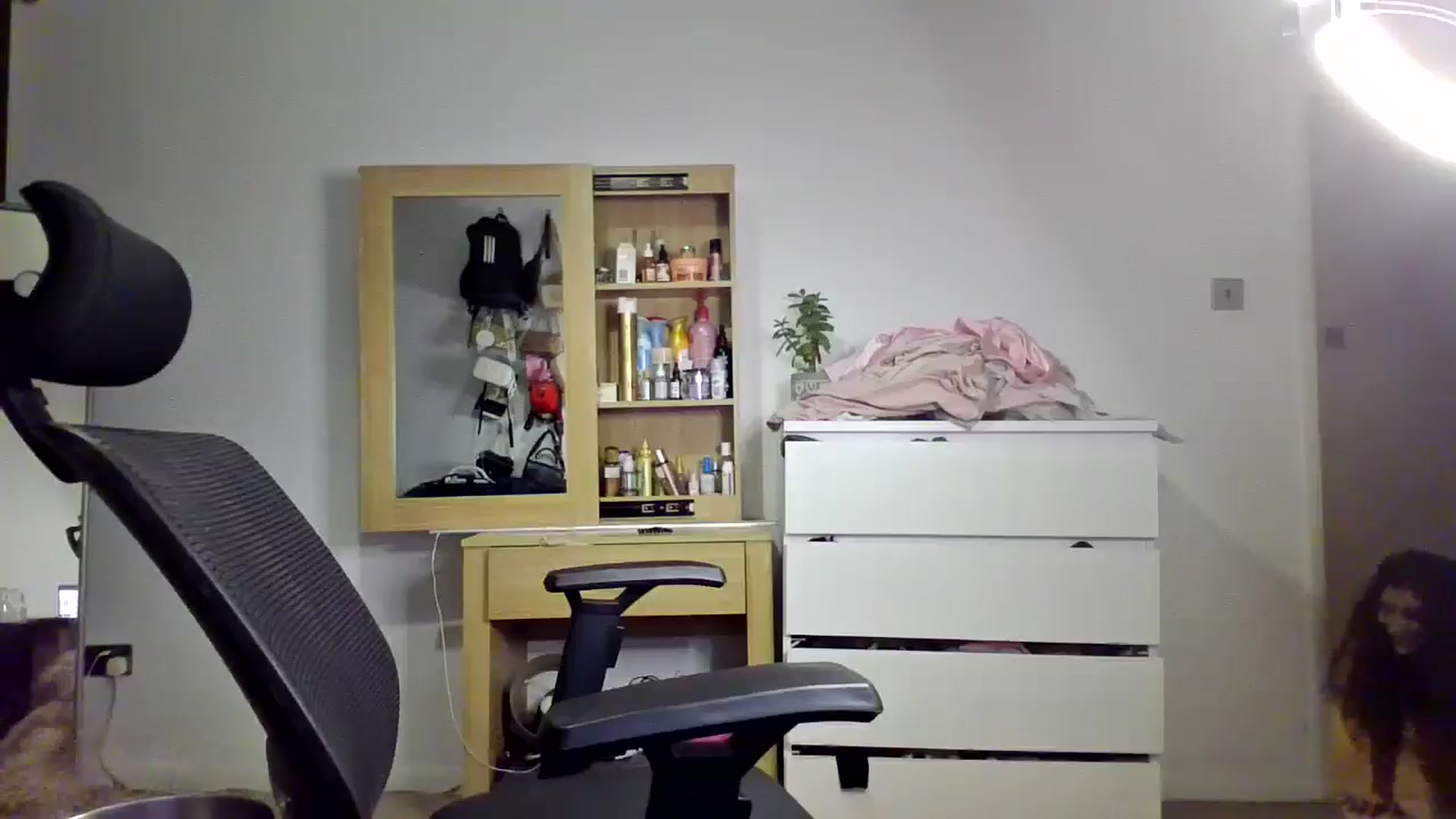 Gallery image thumbnail from Ameeraxo's myfreecams stream on, 08/15/2025, 24:20 image 19 of 20