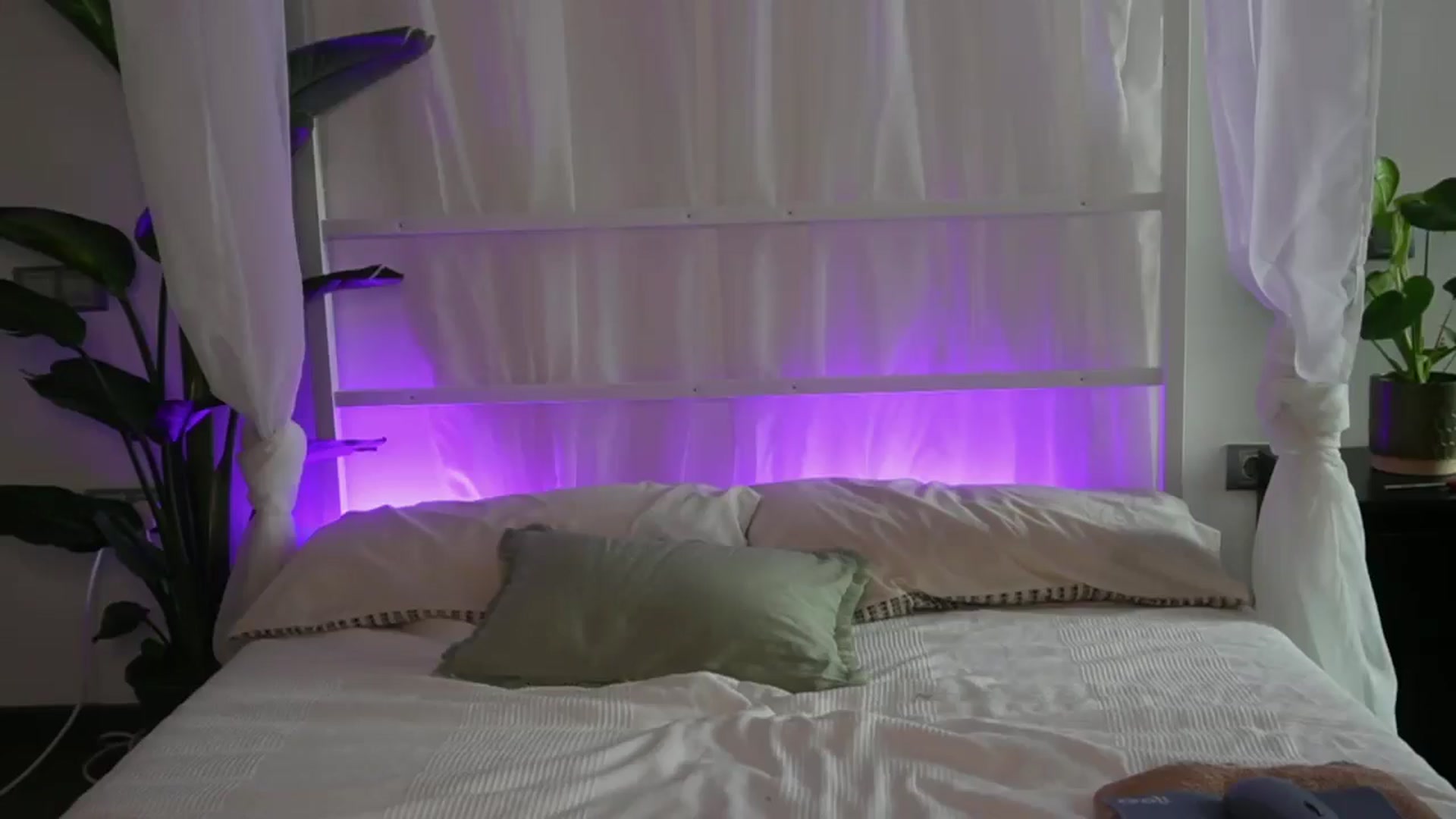 Gallery image thumbnail from AmeliaSums222's myfreecams stream on, 02/16/2025, 13:53 image 6 of 20