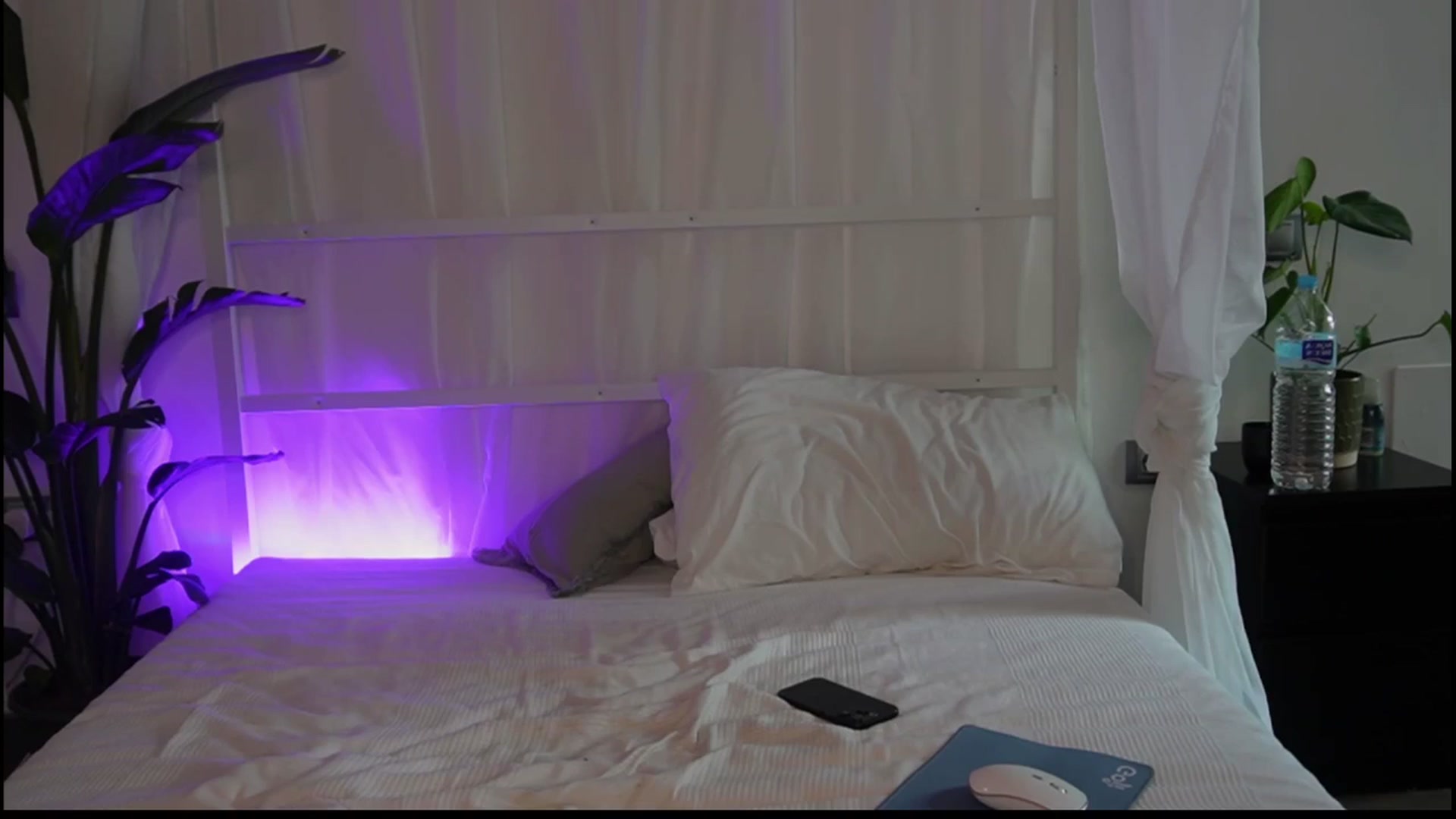 Gallery image thumbnail from AmeliaSums222's myfreecams stream on, 02/25/2025, 12:21 image 14 of 20