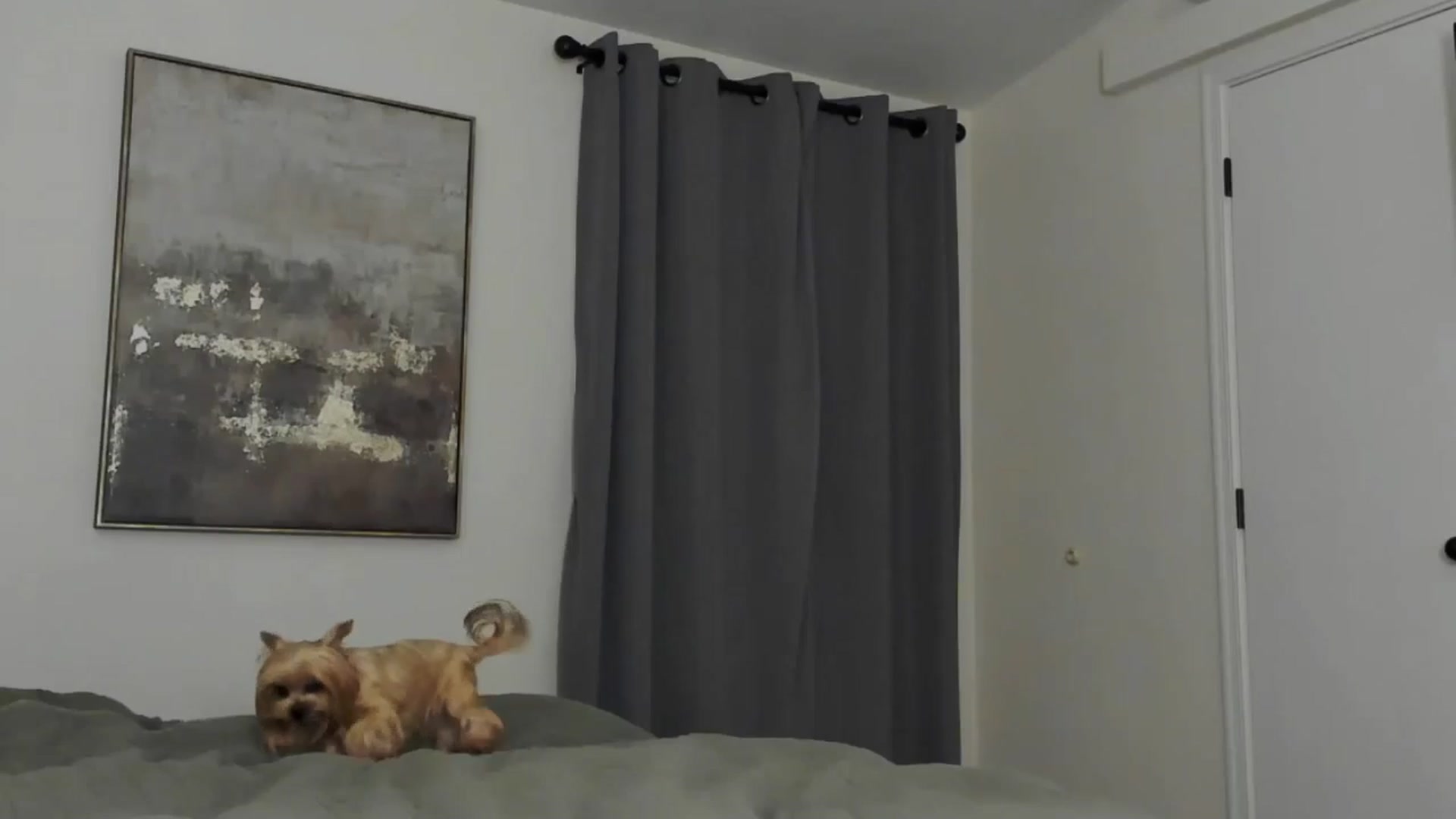 Gallery image thumbnail from Amelya__'s myfreecams stream on, 12/26/2025, 05:26 image 14 of 20