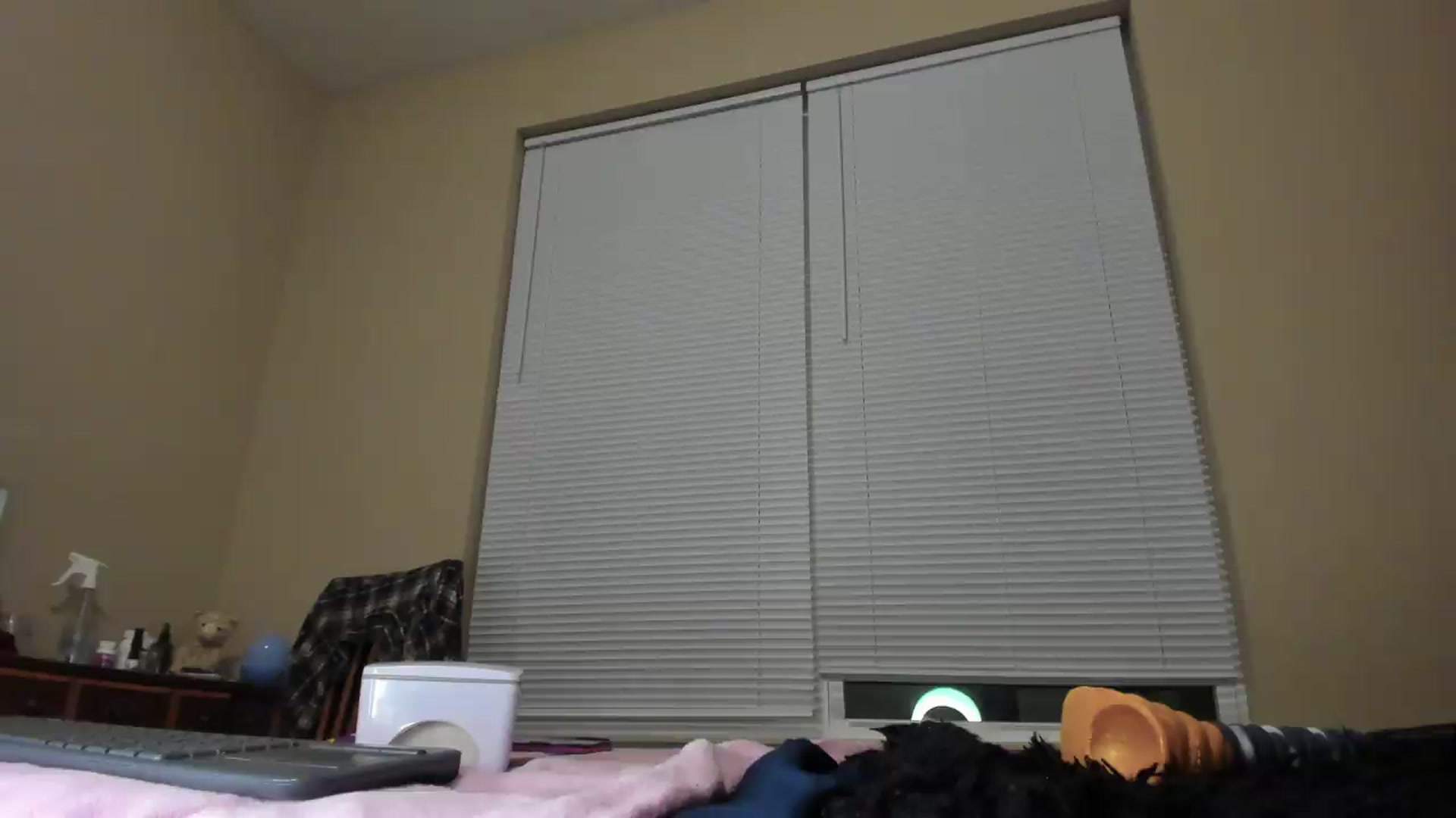 Gallery image thumbnail from AmethystFoxx's myfreecams stream on, 09/21/2026, 01:17 image 5 of 20