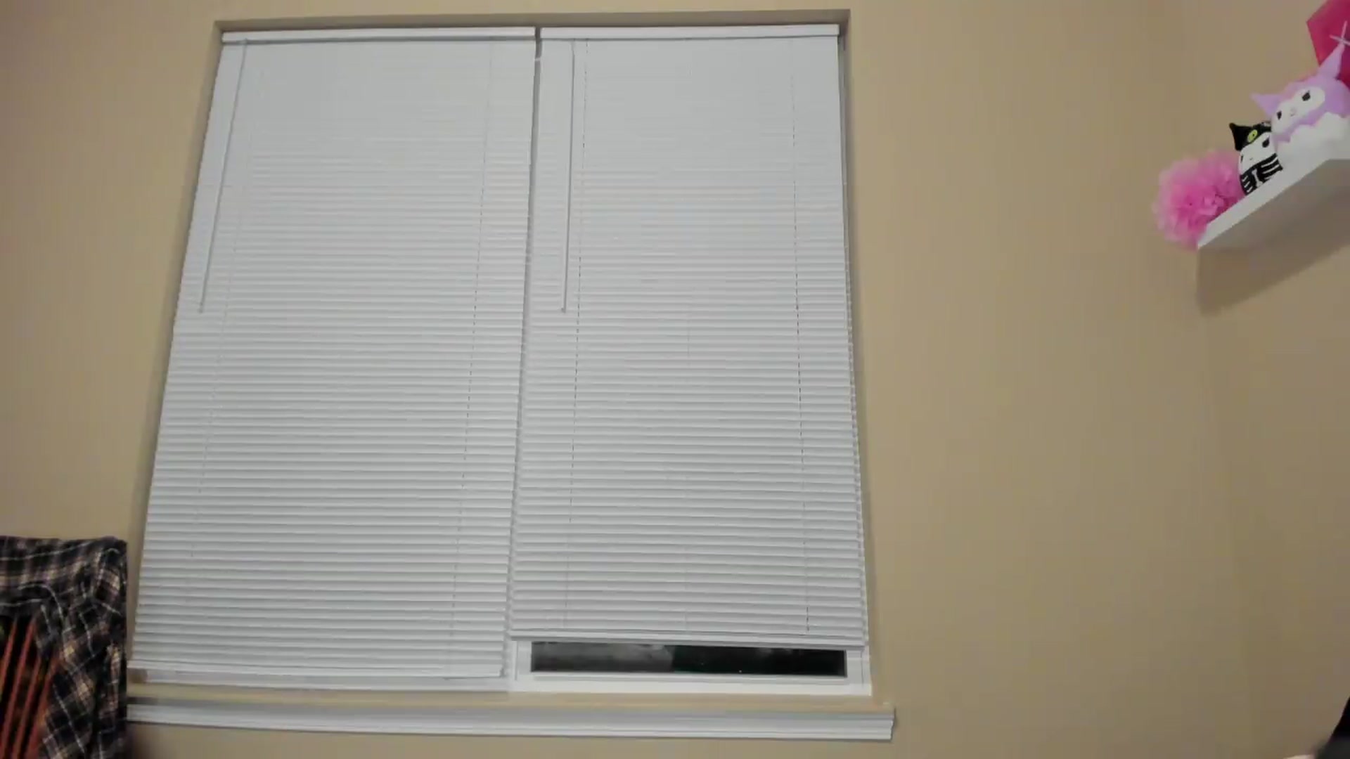 Gallery image thumbnail from AmethystFoxx's myfreecams stream on, 09/21/2026, 01:17 image 19 of 20