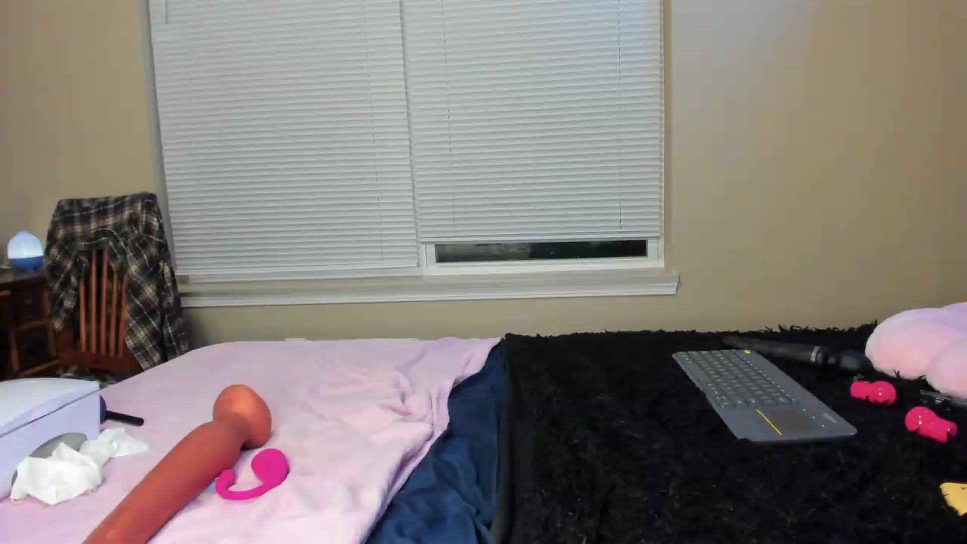Gallery image thumbnail from AmethystFoxx's myfreecams stream on, 09/21/2026, 03:42 image 7 of 20