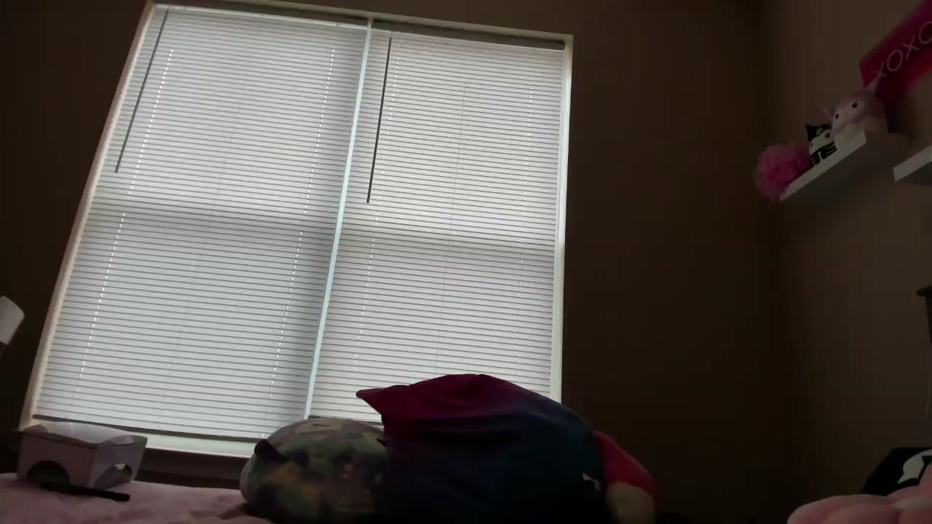 Gallery image thumbnail from AmethystFoxx's myfreecams stream on, 09/21/2026, 16:23 image 1 of 20