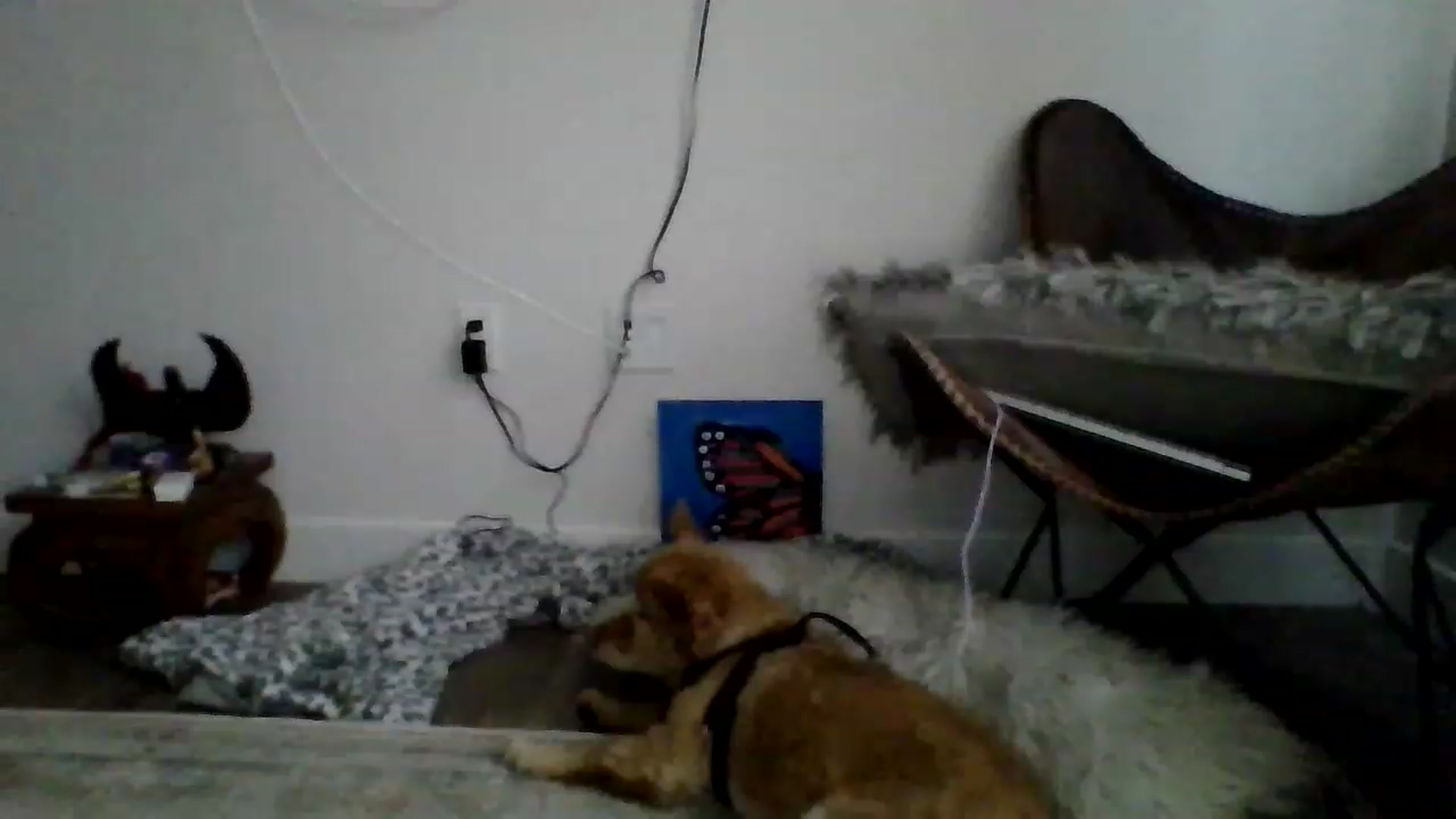 Gallery image thumbnail from Amethyst_Gem's myfreecams stream on, 01/02/2023, 20:50 image 20 of 20