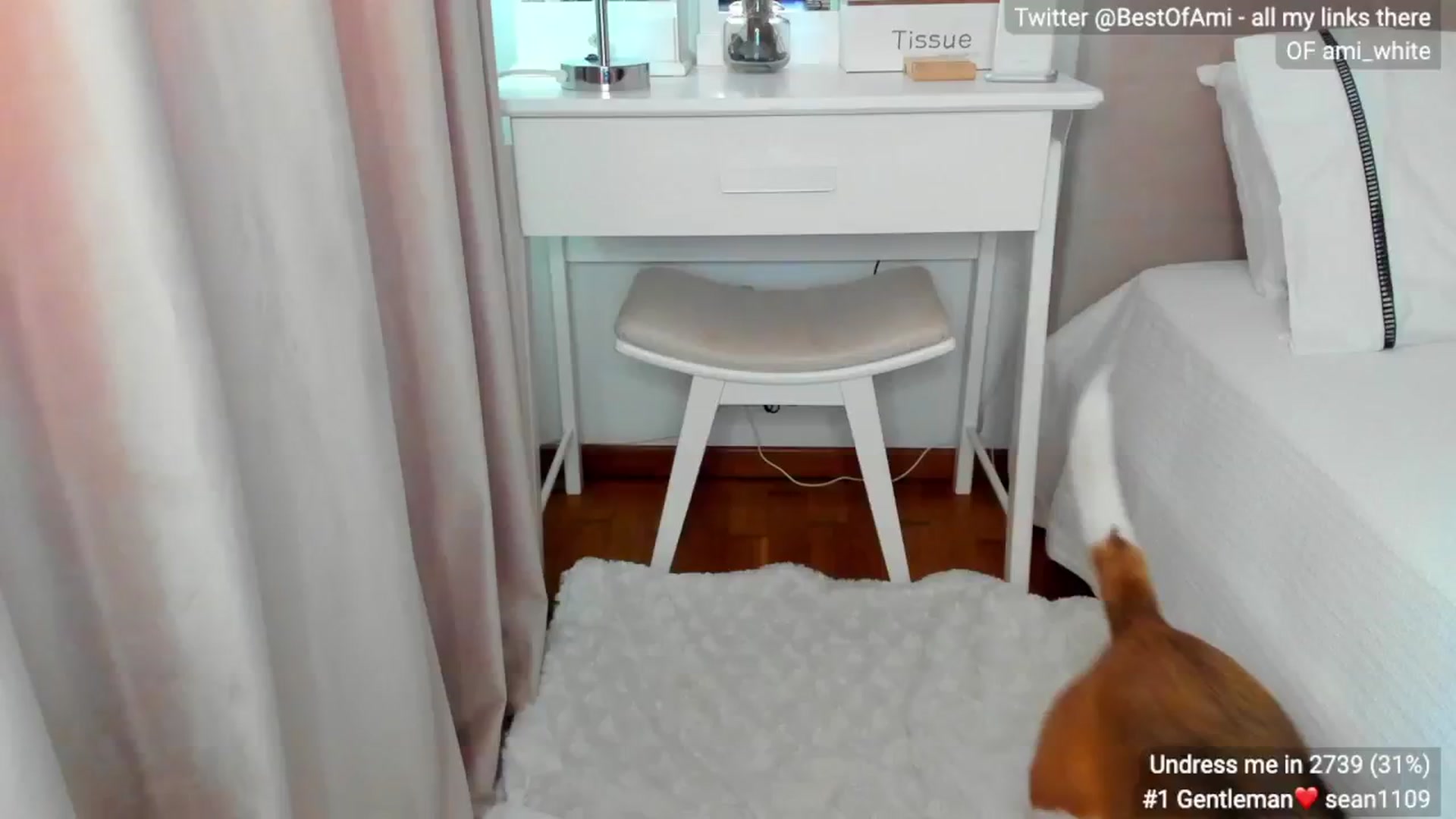 Gallery image thumbnail from Ami_White's myfreecams stream on, 06/20/2024, 07:01 image 14 of 20