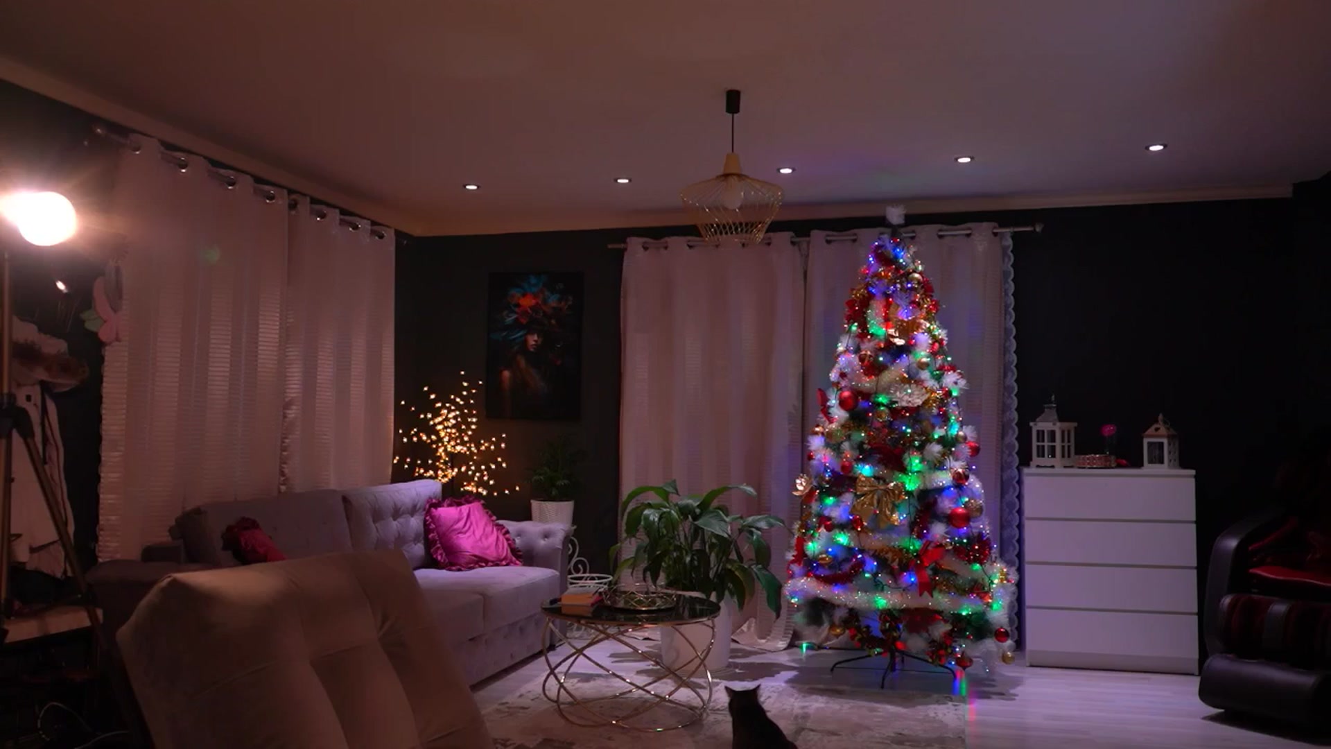 Gallery image thumbnail from Amidachris's myfreecams stream on, 12/30/2025, 22:13 image 8 of 20