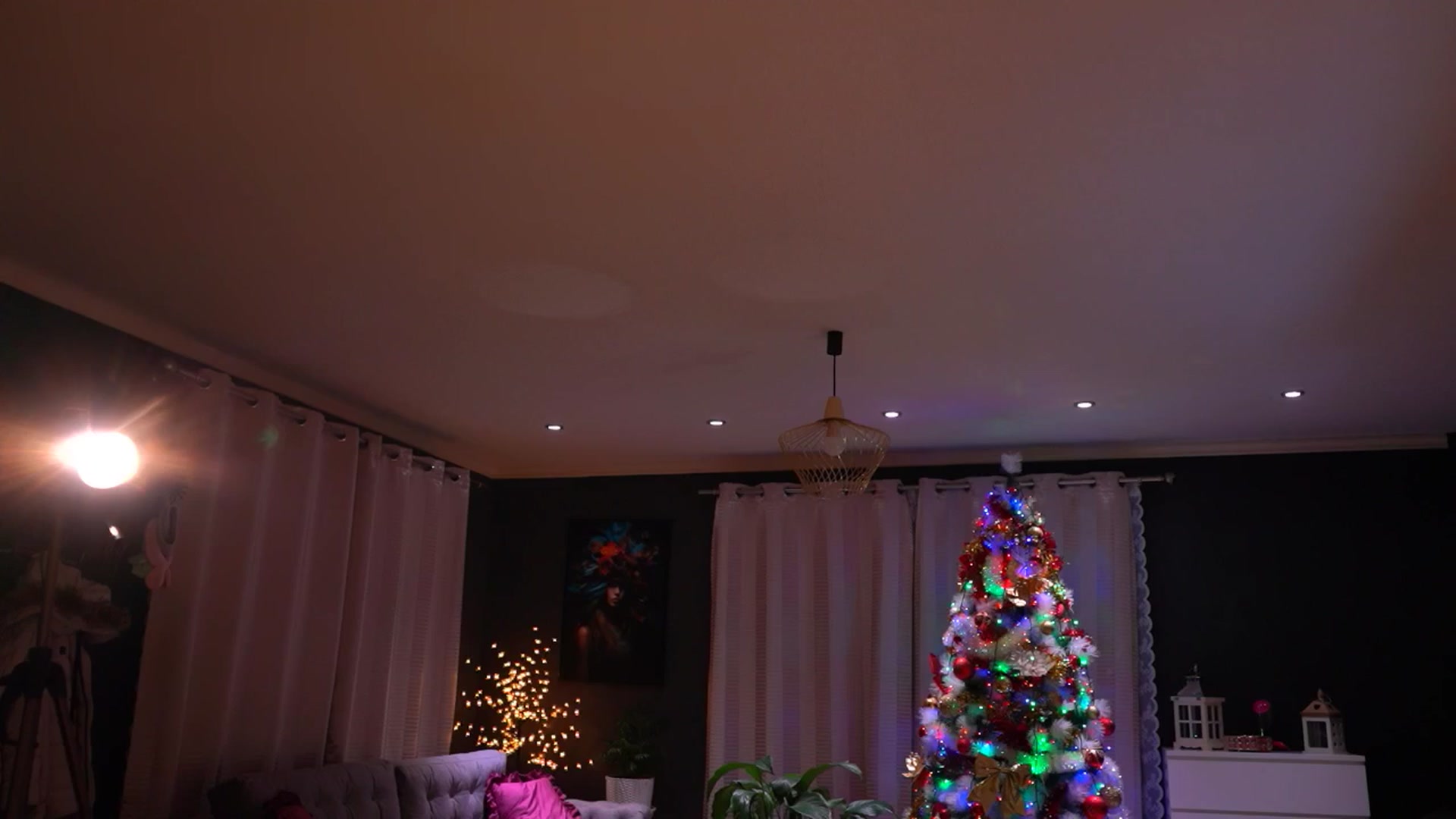 Gallery image thumbnail from Amidachris's myfreecams stream on, 12/30/2025, 22:13 image 13 of 20
