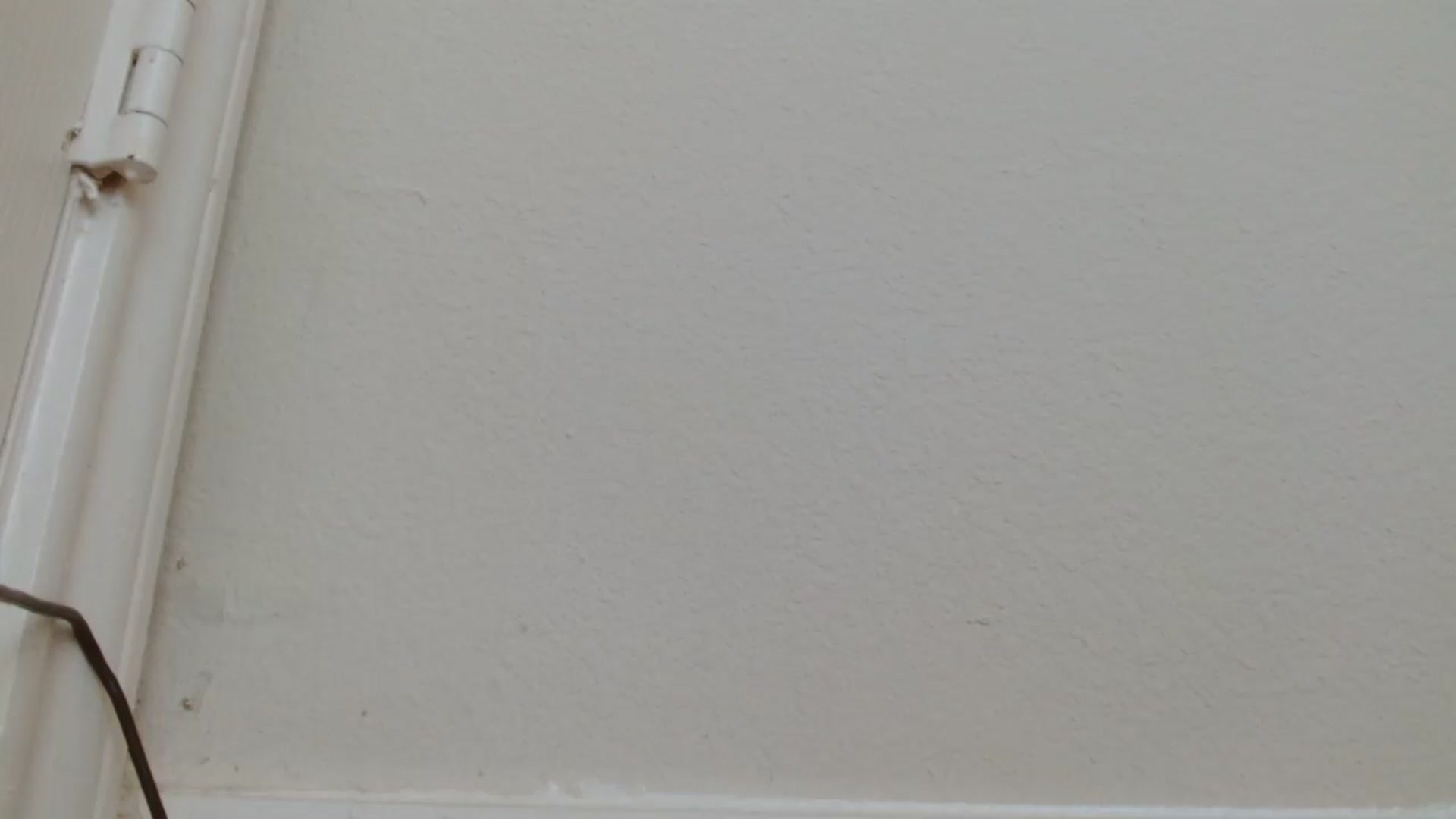 Gallery image thumbnail from Amilustxx's myfreecams stream on, 02/20/2024, 14:19 image 3 of 20