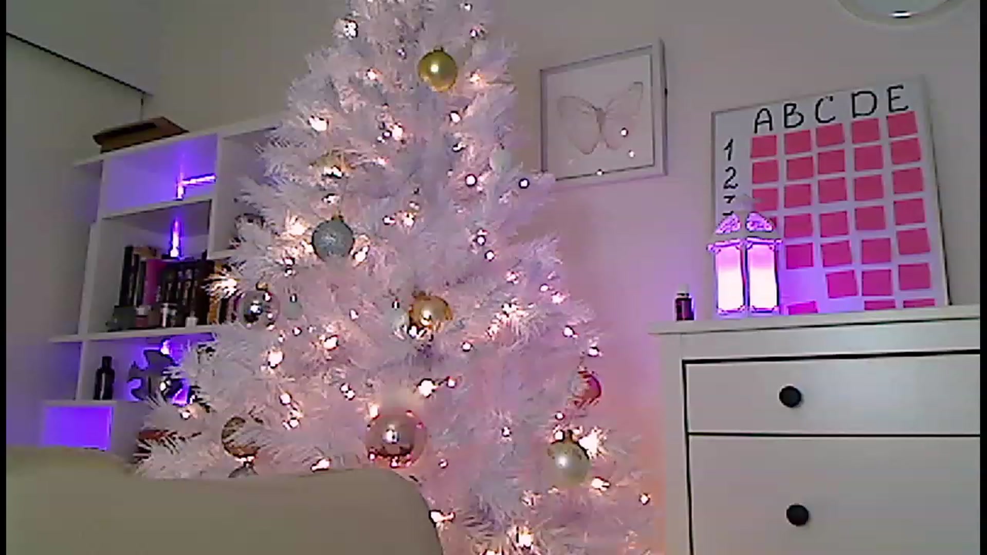 Gallery image thumbnail from Amiri's myfreecams stream on, 01/05/2023, 04:02 image 14 of 20