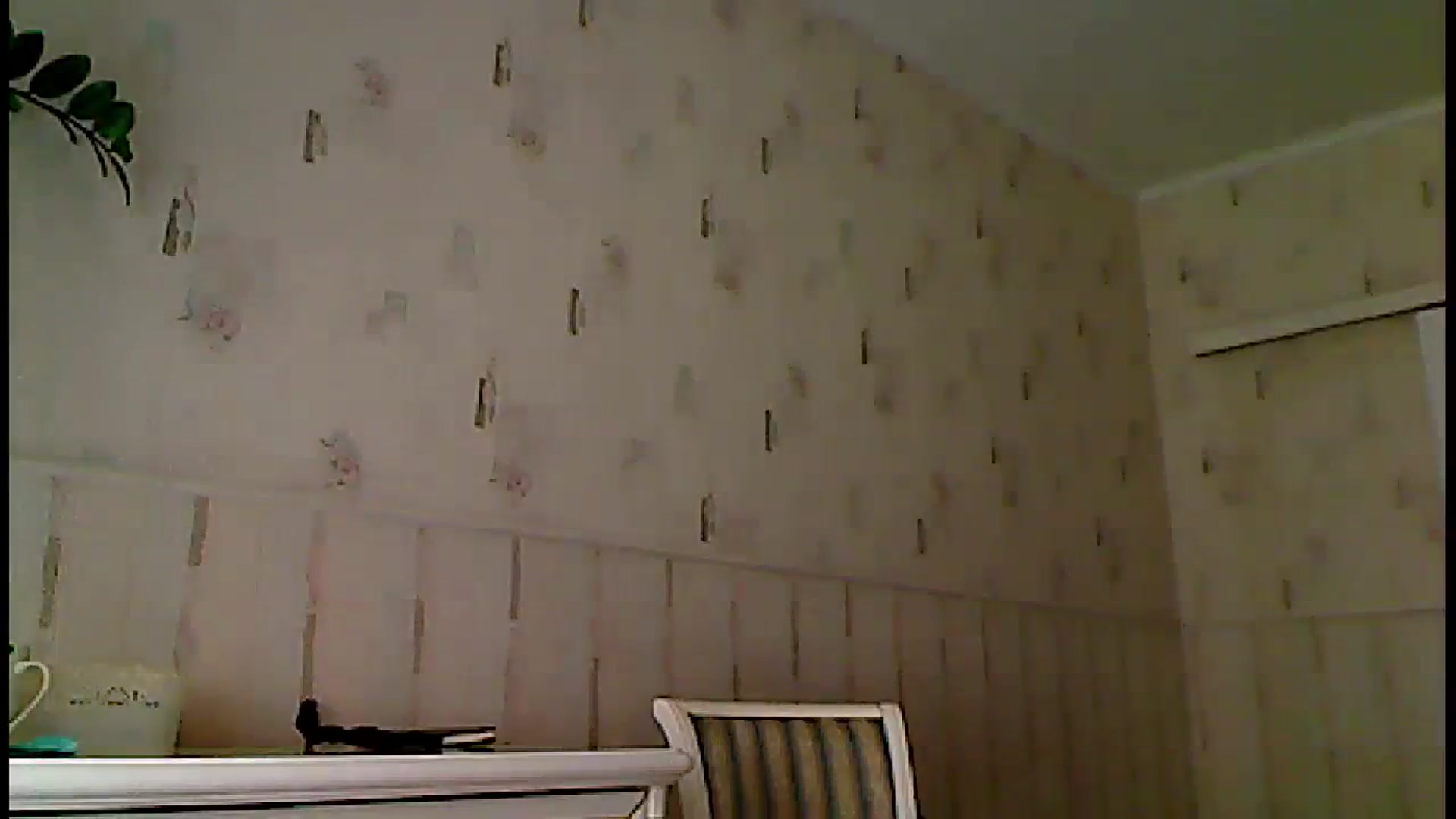 Gallery image thumbnail from Amiri's myfreecams stream on, 08/20/2023, 05:48 image 18 of 20