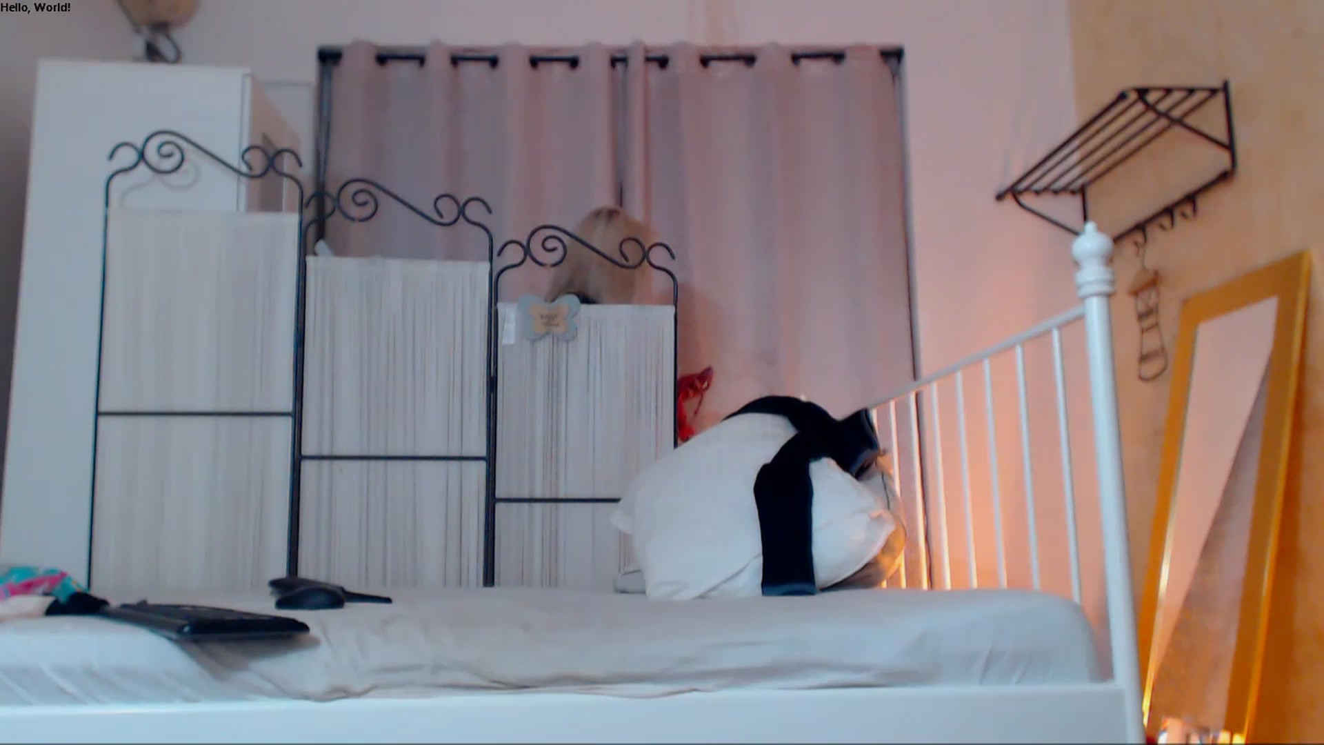 Gallery image thumbnail from Ammellyaxo's myfreecams stream on, 12/05/2022, 15:37 image 3 of 20