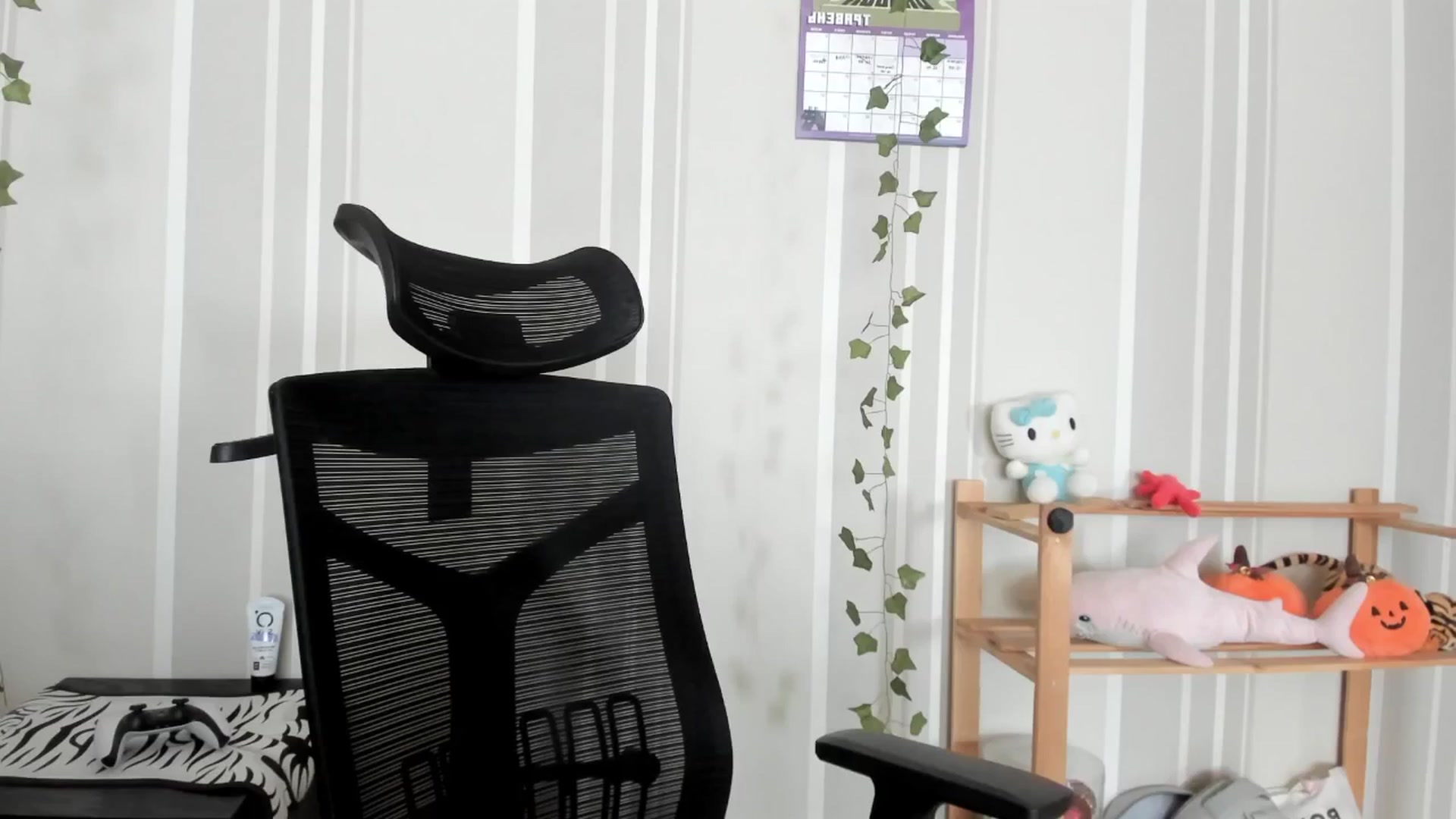 Gallery image thumbnail from AmnesiaGirl1's myfreecams stream on, 05/21/2025, 10:21 image 7 of 20