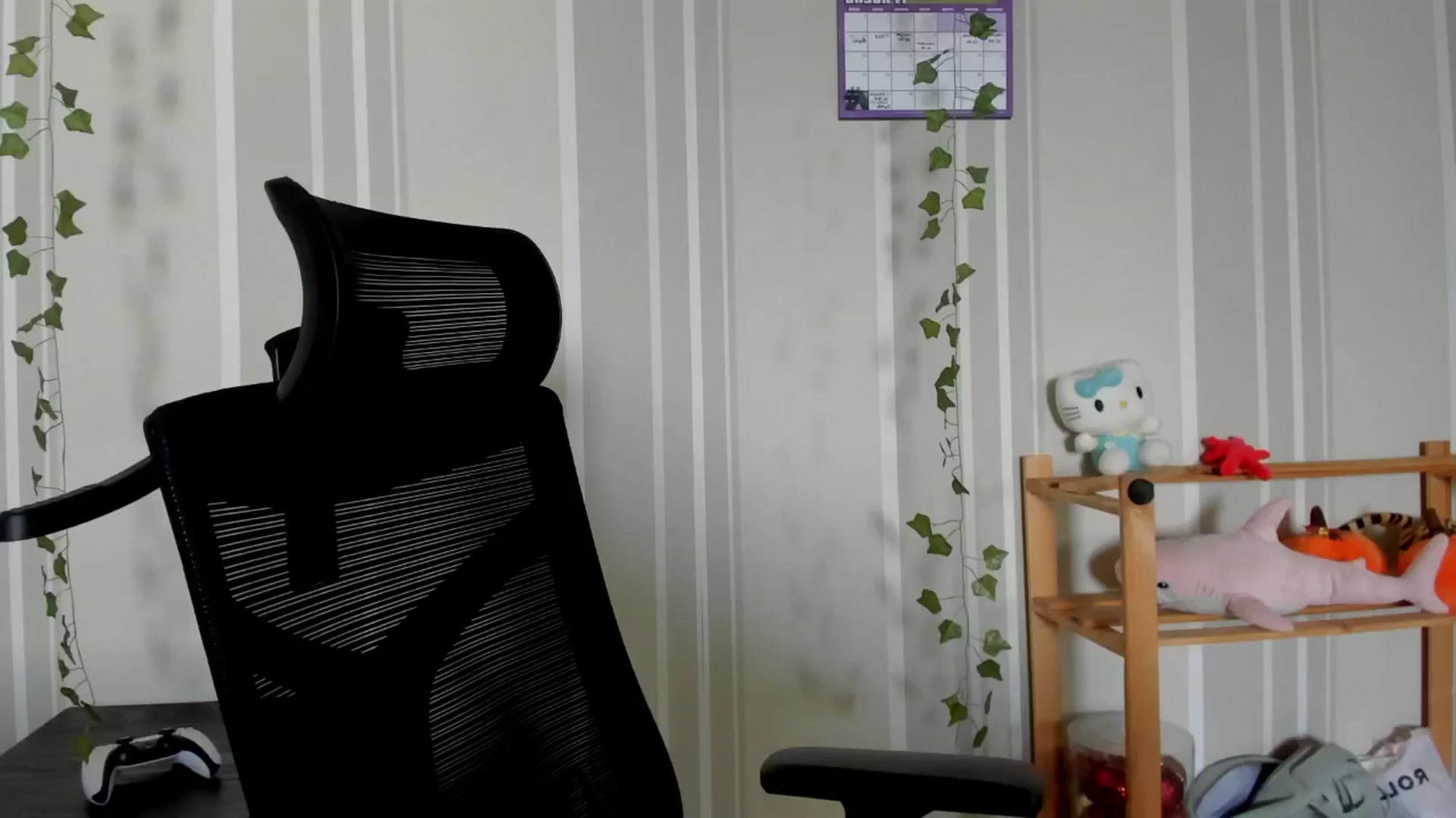 Gallery image thumbnail from AmnesiaGirl1's myfreecams stream on, 06/09/2025, 12:55 image 13 of 20