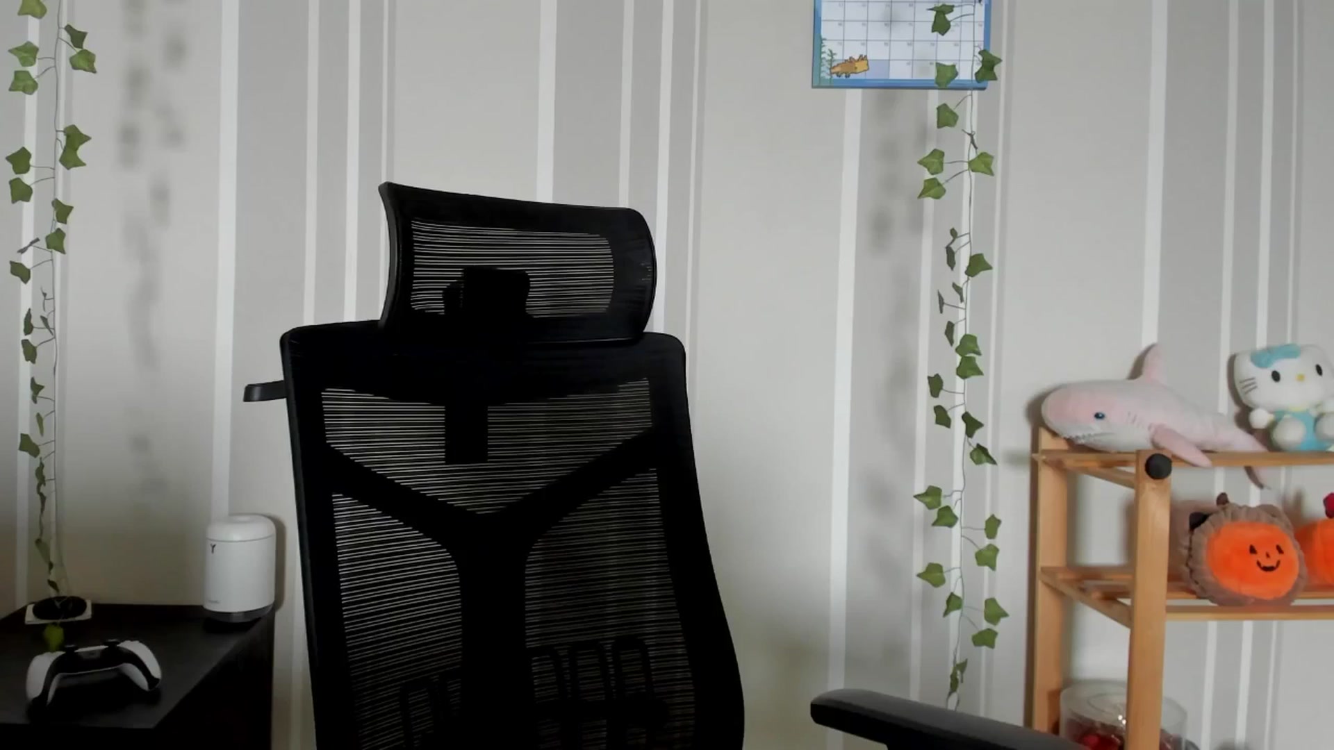 Gallery image thumbnail from AmnesiaGirl1's myfreecams stream on, 07/18/2025, 10:27 image 13 of 20