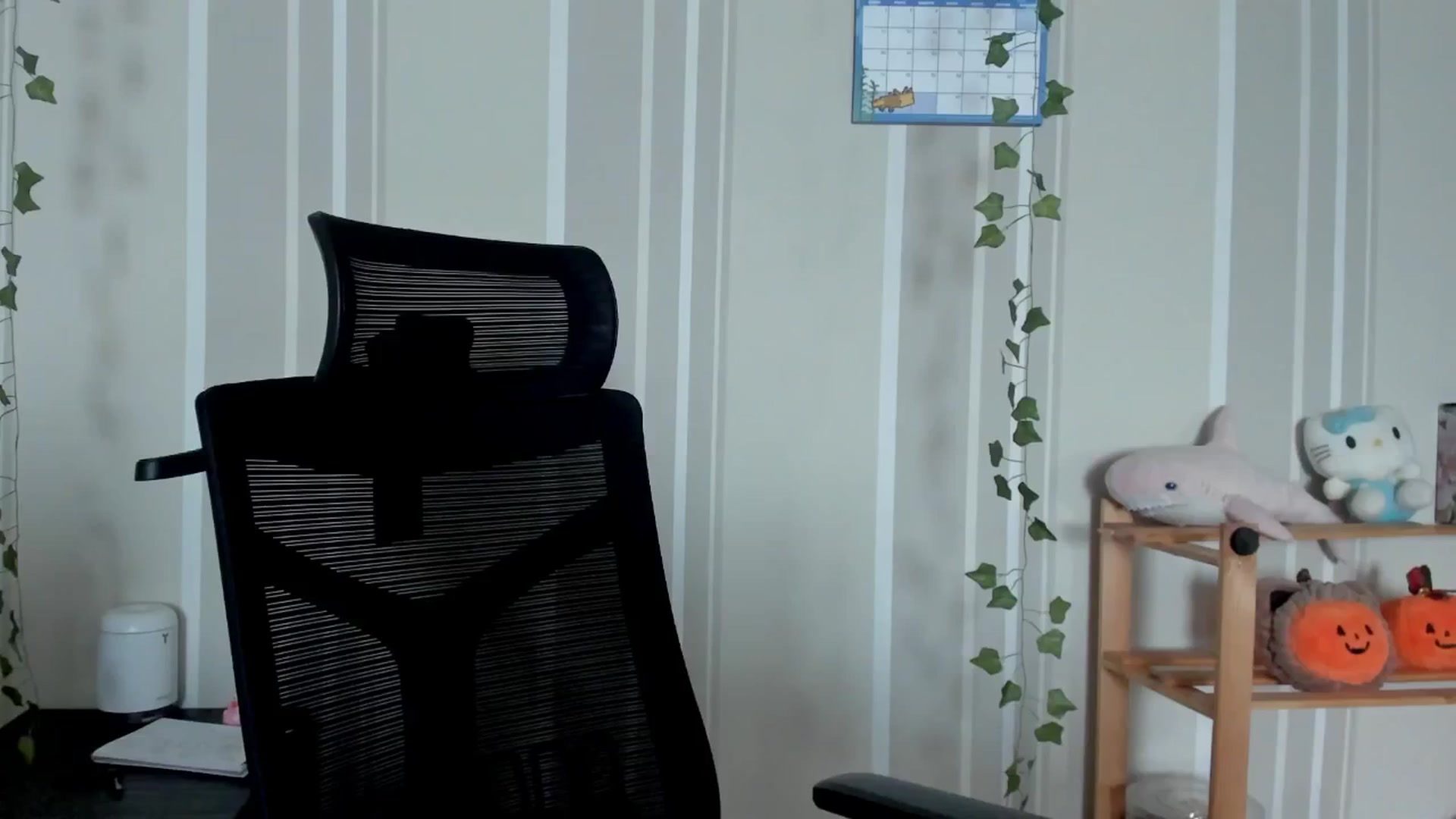 Gallery image thumbnail from AmnesiaGirl1's myfreecams stream on, 07/22/2025, 15:15 image 12 of 20