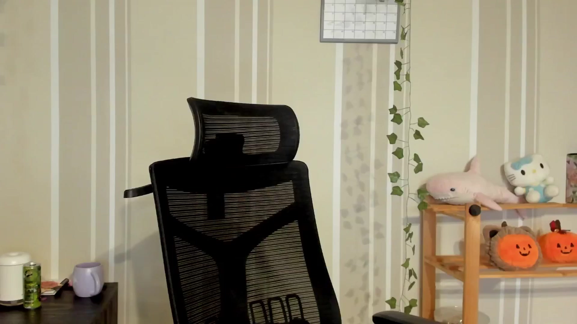 Gallery image thumbnail from AmnesiaGirl1's myfreecams stream on, 08/08/2025, 17:07 image 15 of 20