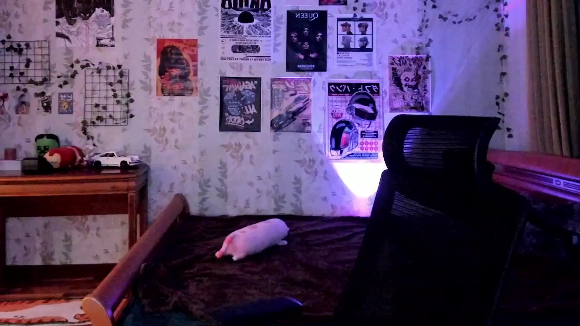 Gallery image thumbnail from AmnesiaGirl1's myfreecams stream on, 12/19/2025, 20:22 image 16 of 20