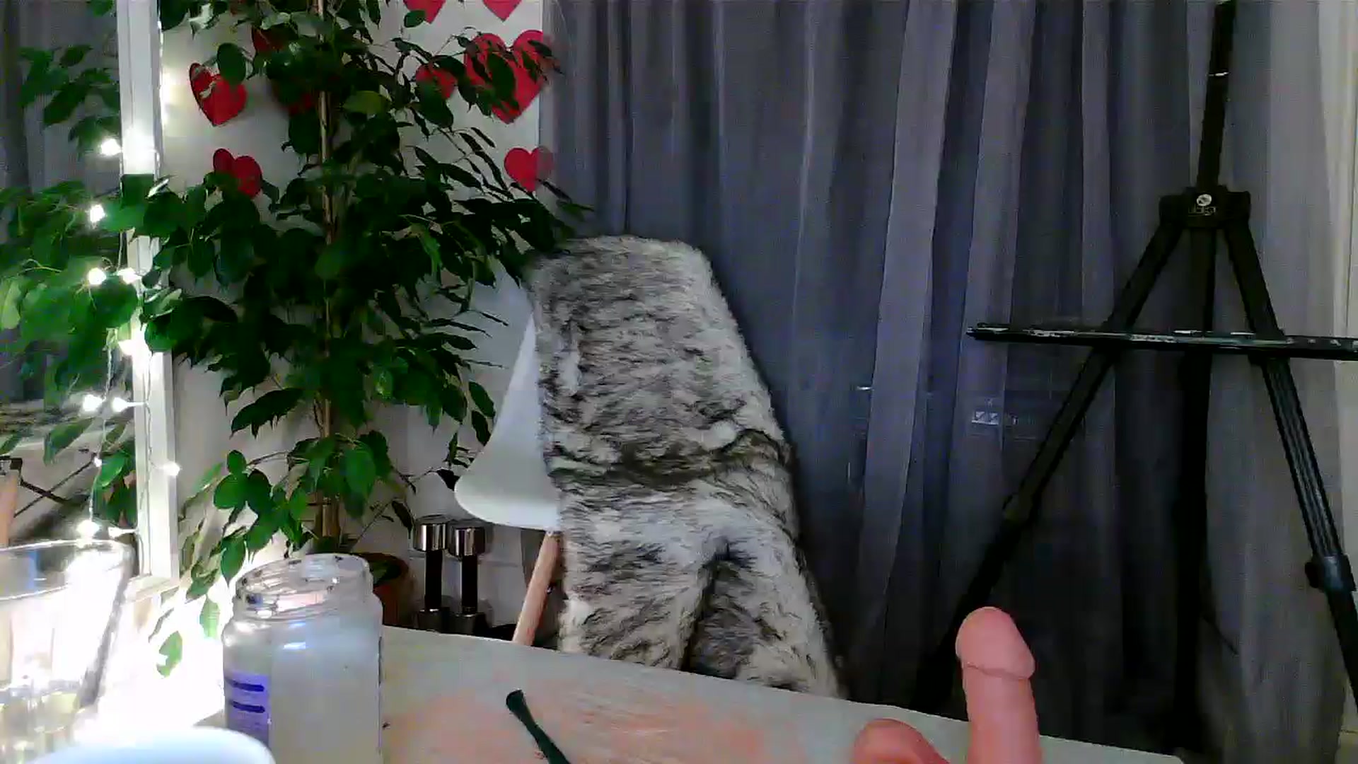 Gallery image thumbnail from Amuse_xxx's myfreecams stream on, 02/25/2025, 22:05 image 19 of 20