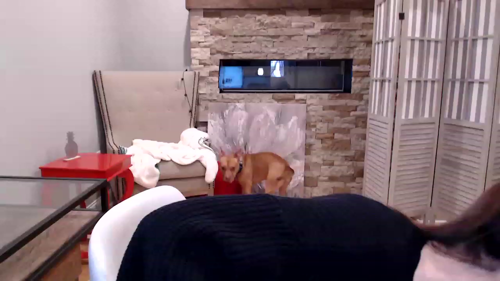 Gallery image thumbnail from AmyDay's myfreecams stream on, 11/16/2022, 20:15 image 18 of 20