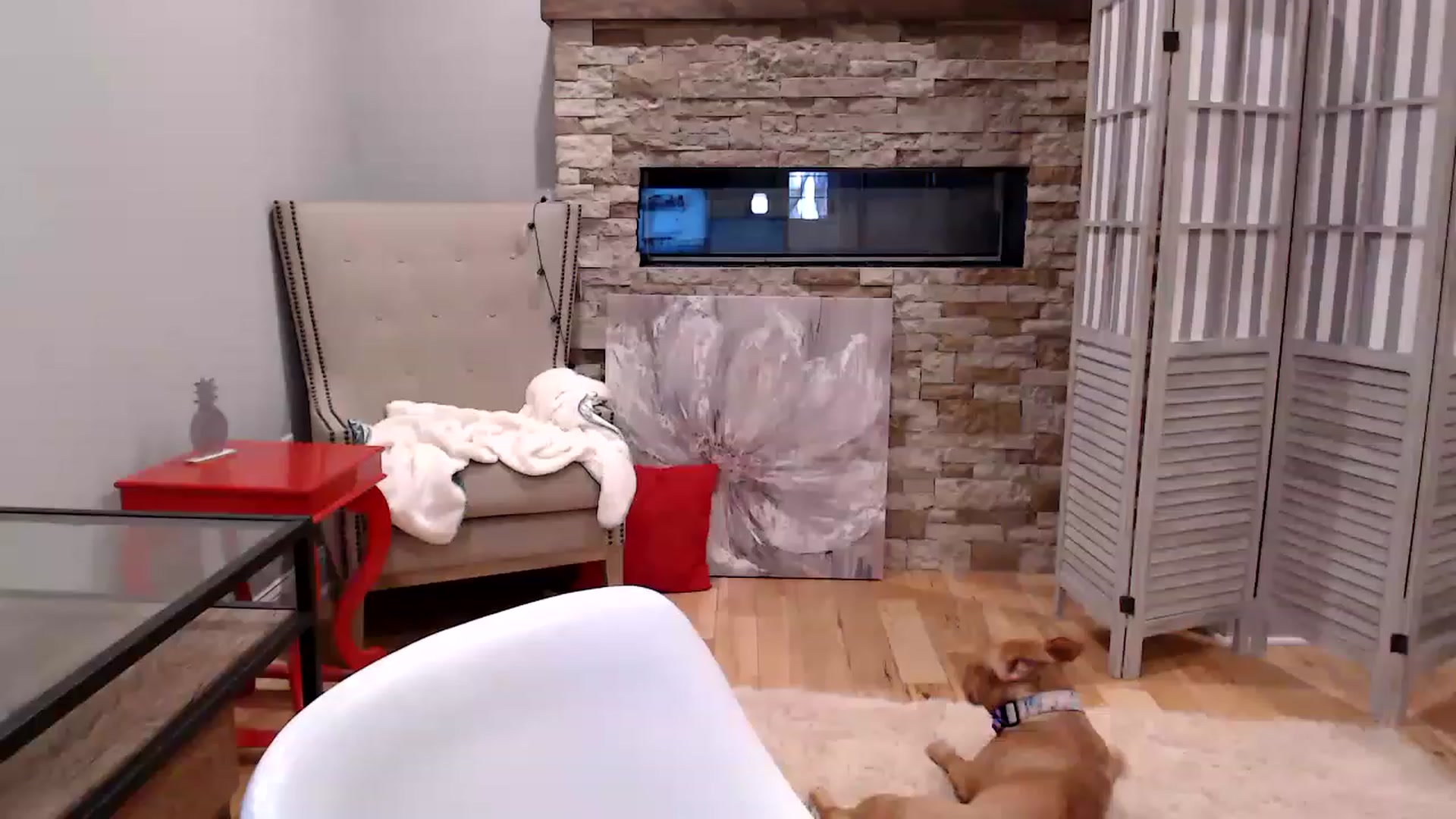 Gallery image thumbnail from AmyDay's myfreecams stream on, 11/16/2022, 20:15 image 11 of 20