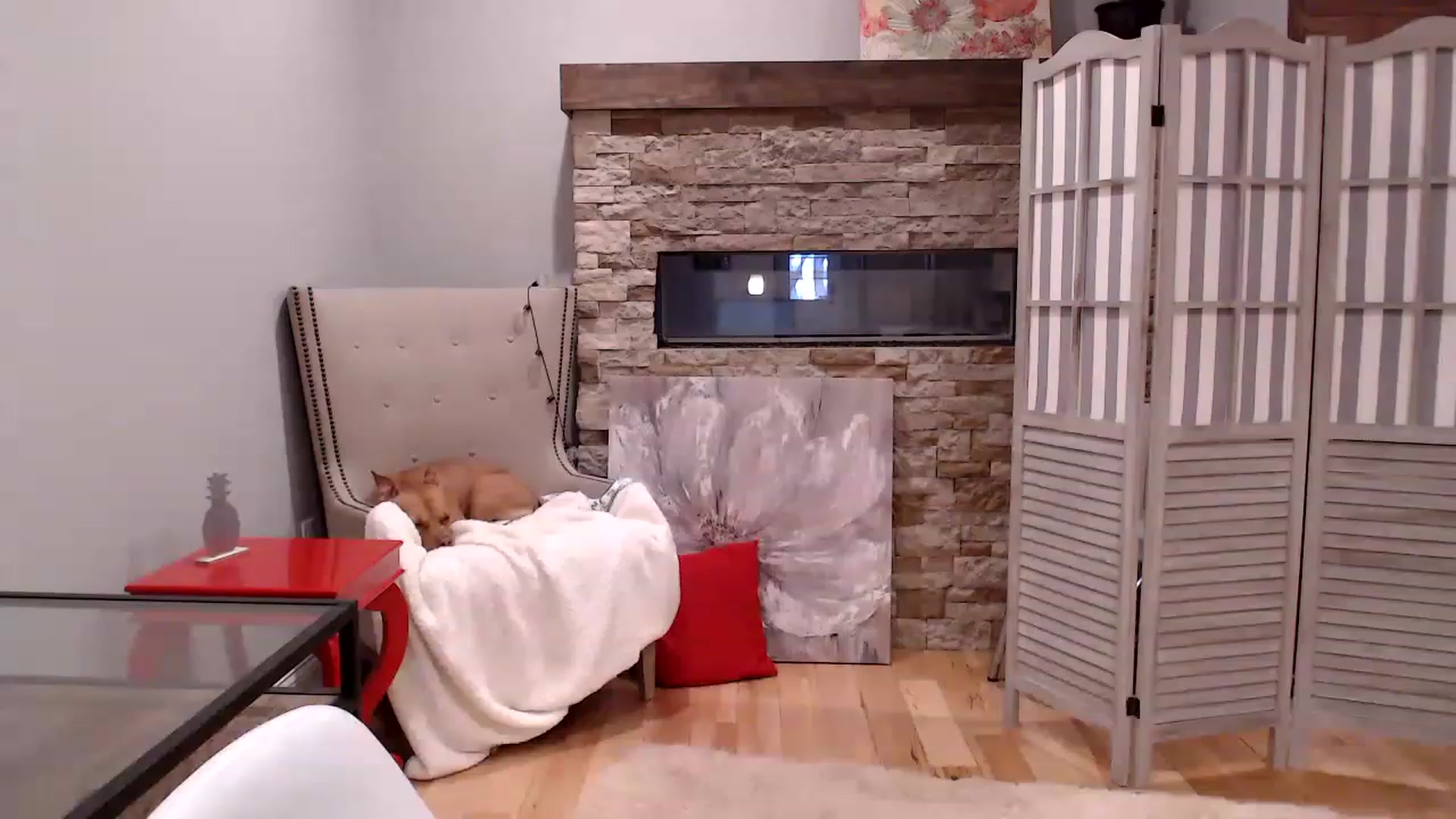 Gallery image thumbnail from AmyDay's myfreecams stream on, 12/06/2022, 19:15 image 1 of 20