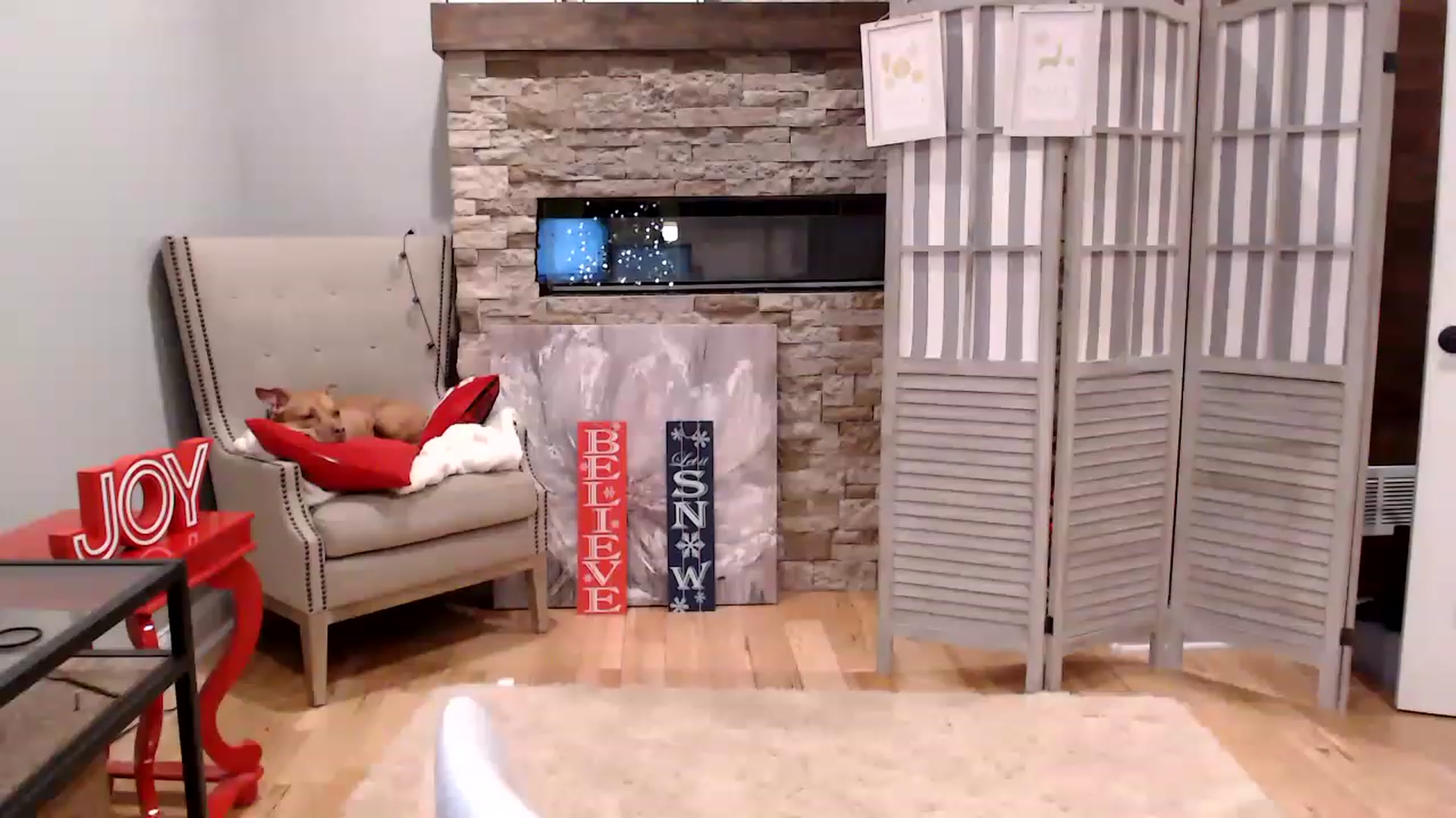 Gallery image thumbnail from AmyDay's myfreecams stream on, 12/18/2022, 23:46 image 17 of 20