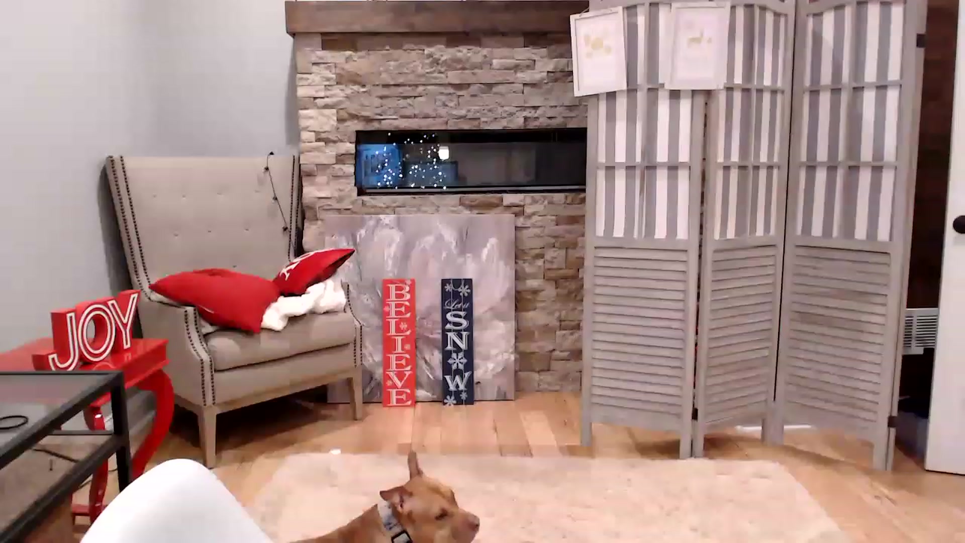 Gallery image thumbnail from AmyDay's myfreecams stream on, 12/18/2022, 23:46 image 10 of 20