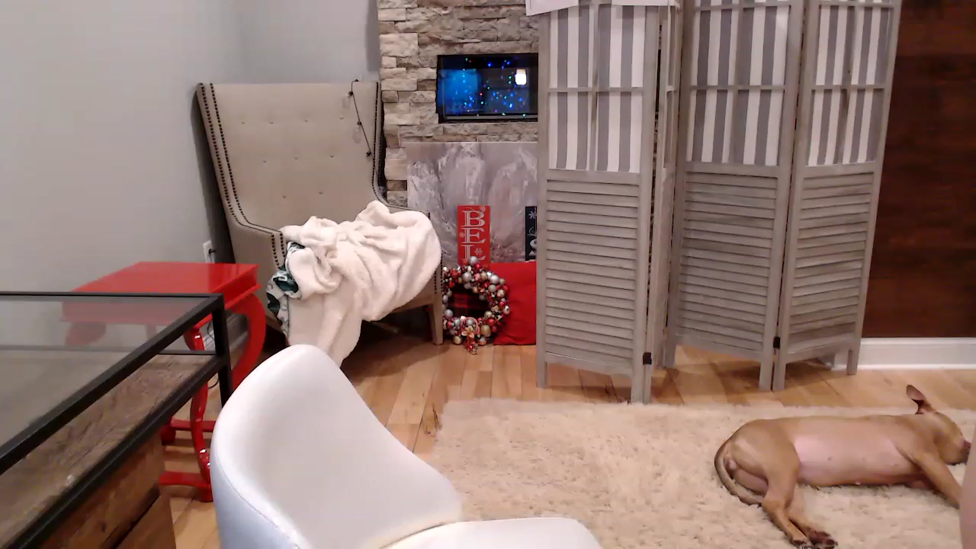 Gallery image thumbnail from AmyDay's myfreecams stream on, 01/03/2023, 24:02 image 5 of 20