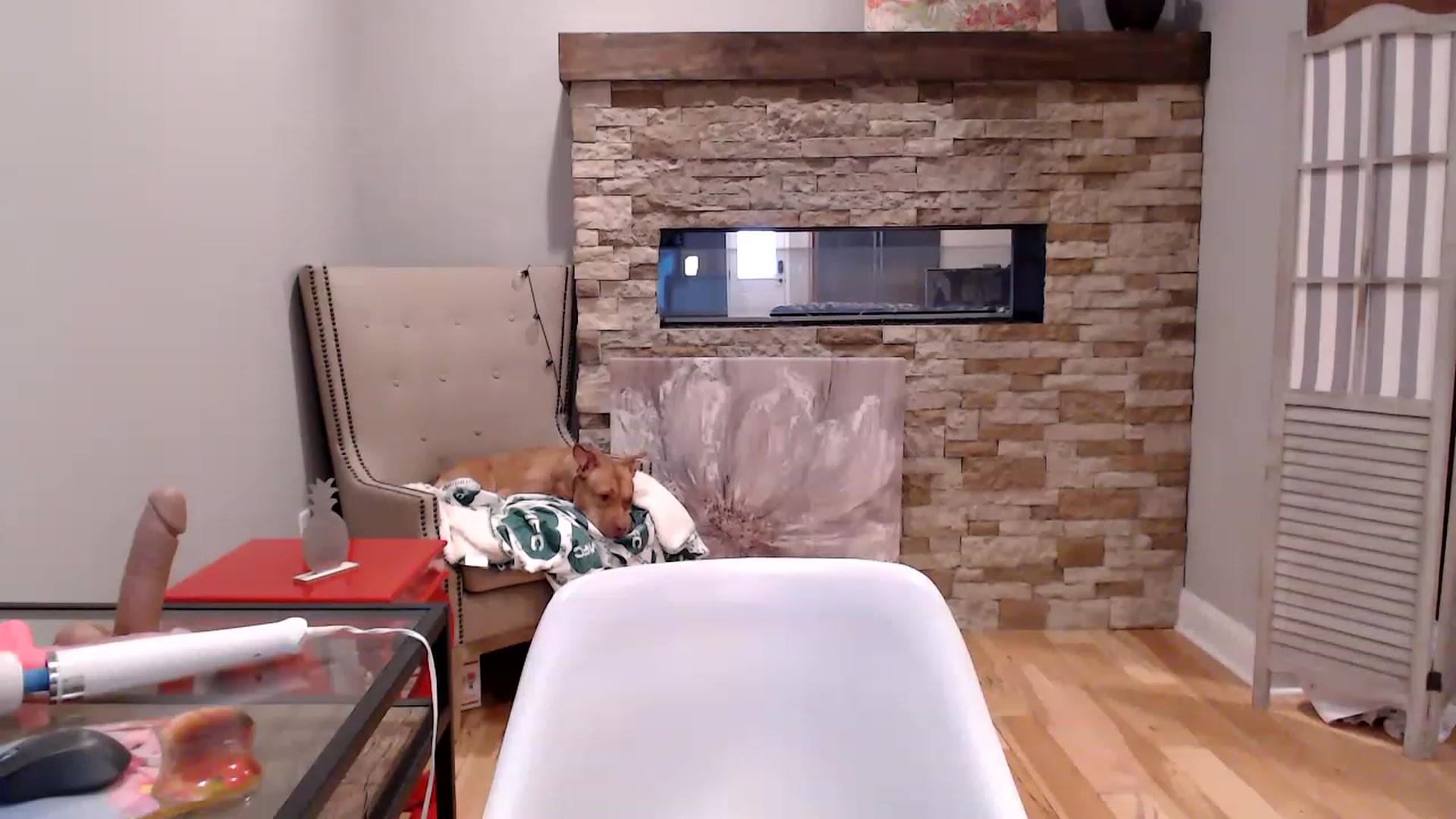 Gallery image thumbnail from AmyDay's myfreecams stream on, 02/09/2023, 19:08 image 15 of 20