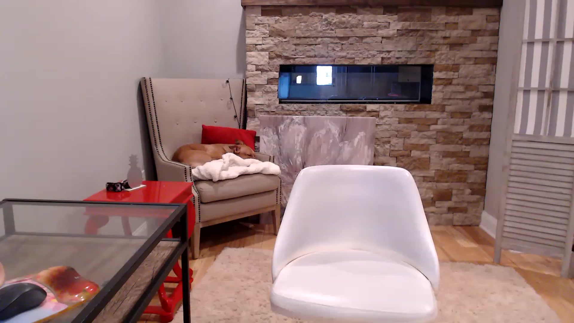 Gallery image thumbnail from AmyDay's myfreecams stream on, 02/20/2023, 21:39 image 13 of 20