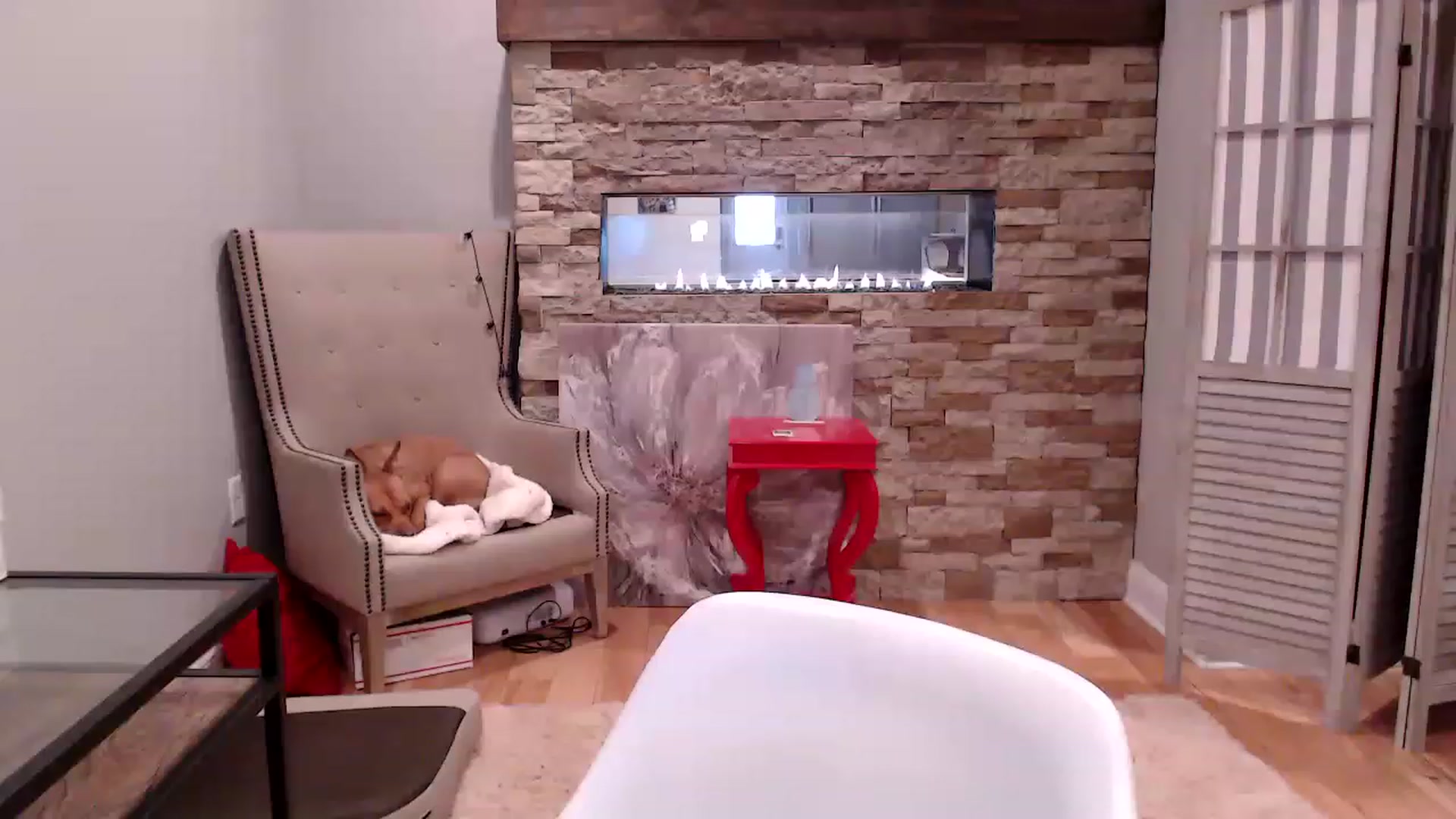 Gallery image thumbnail from AmyDay's myfreecams stream on, 03/17/2023, 18:04 image 11 of 20