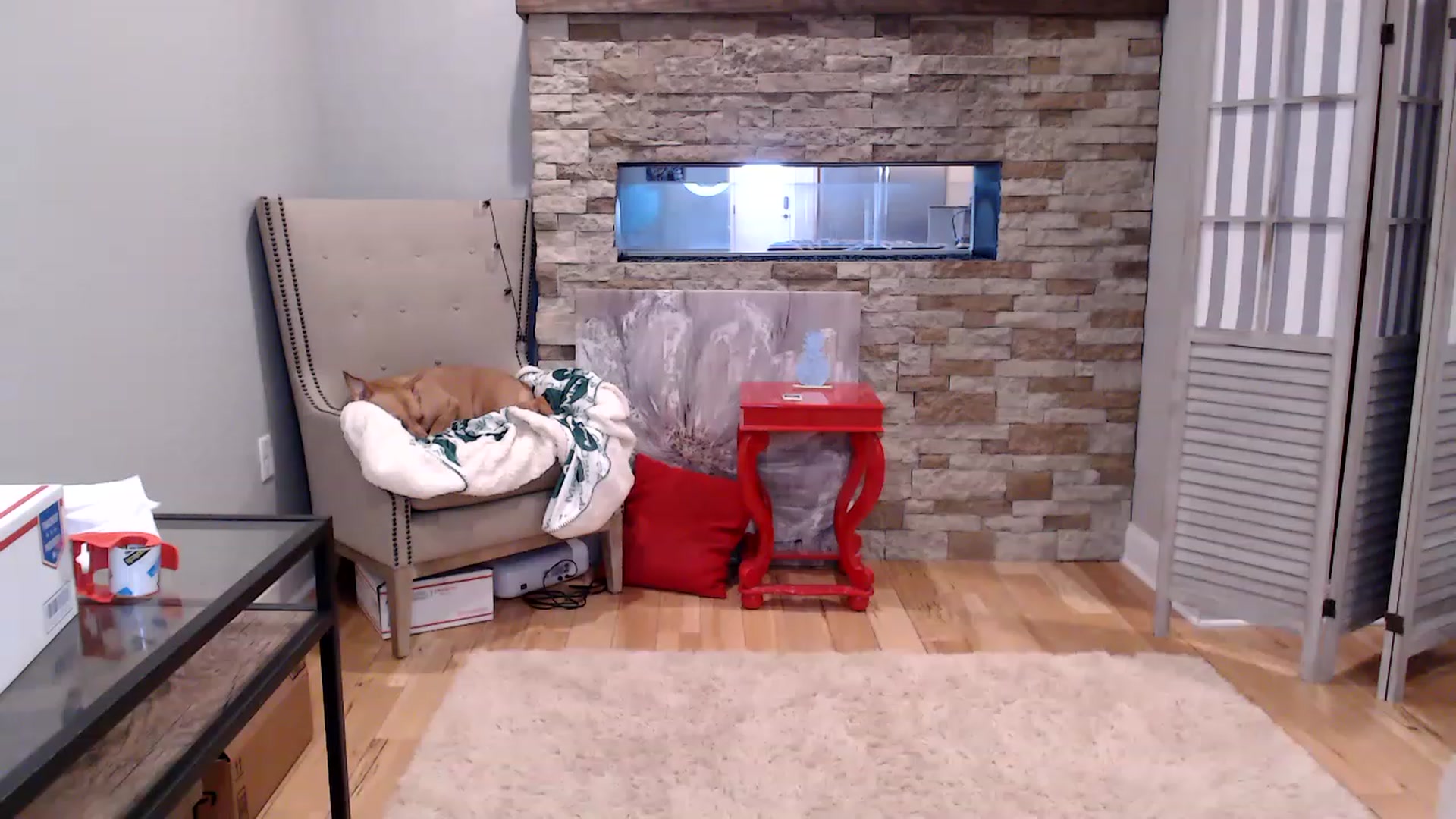 Gallery image thumbnail from AmyDay's myfreecams stream on, 03/24/2023, 18:08 image 5 of 20